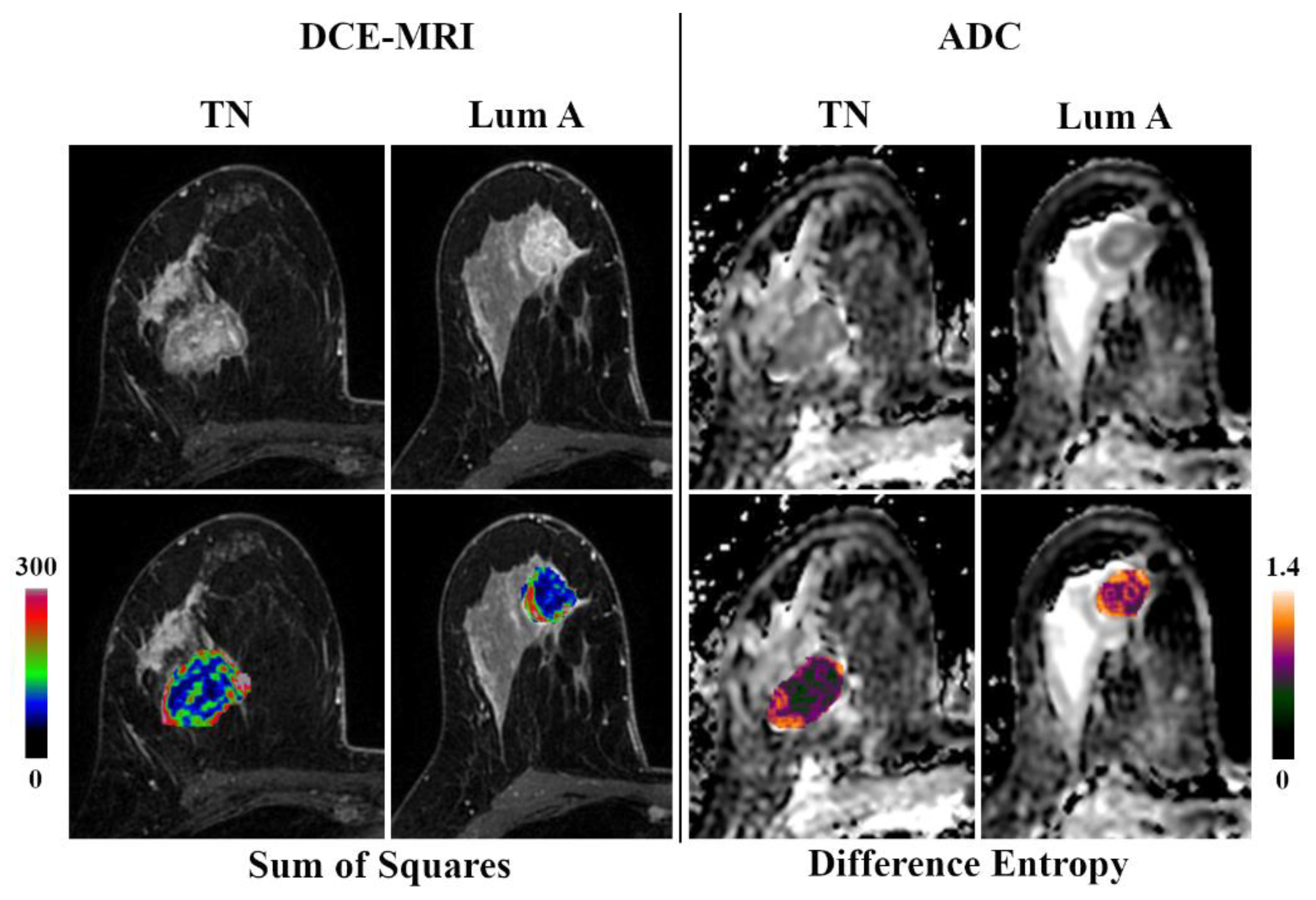Jcm 09 01853 g002 Jcm 09 01853 g002