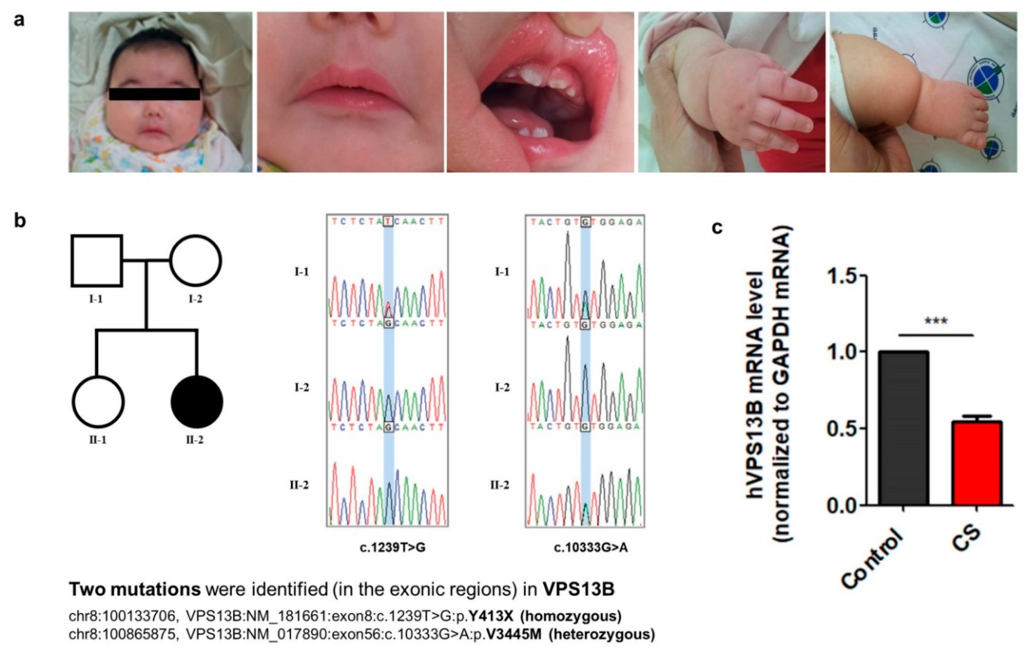 Jcm 09 01886 g001 Jcm 09 01886 g001