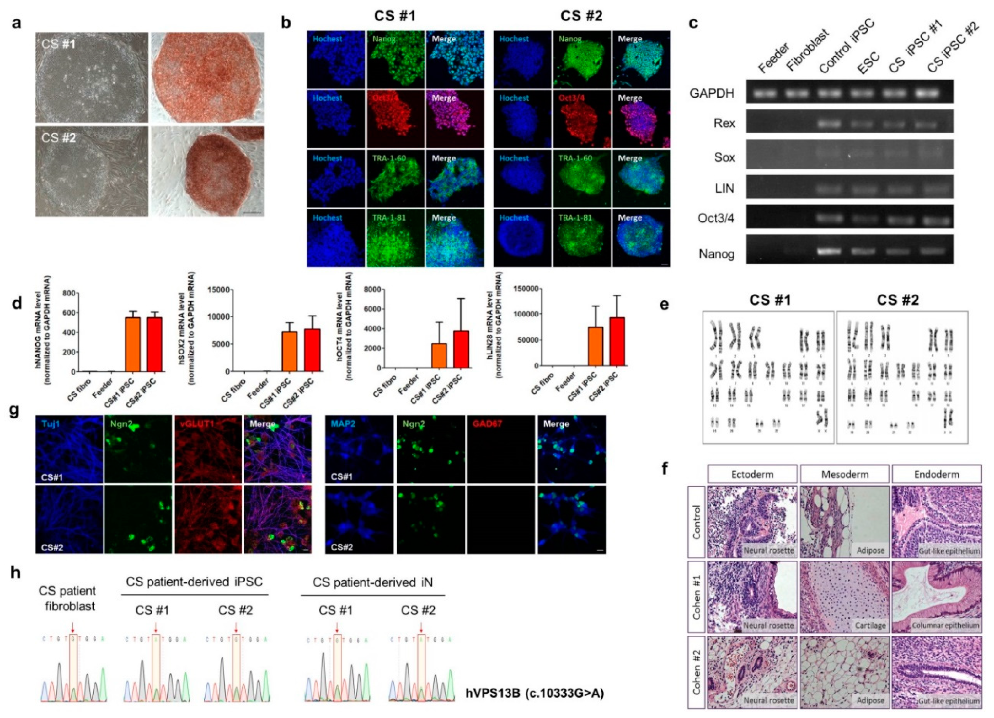 Jcm 09 01886 g002 Jcm 09 01886 g002