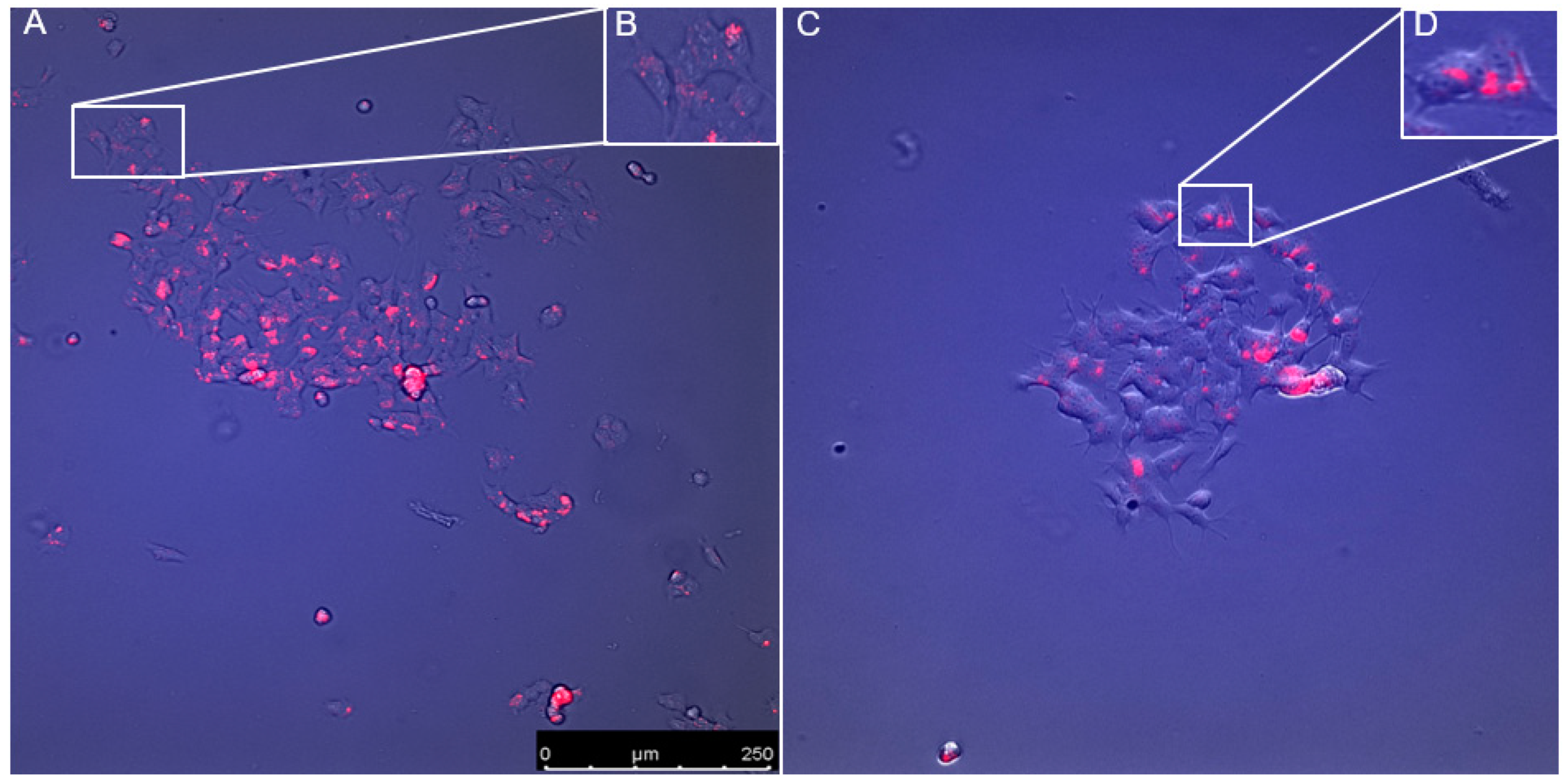 Jcm 09 01923 g008 Jcm 09 01923 g008