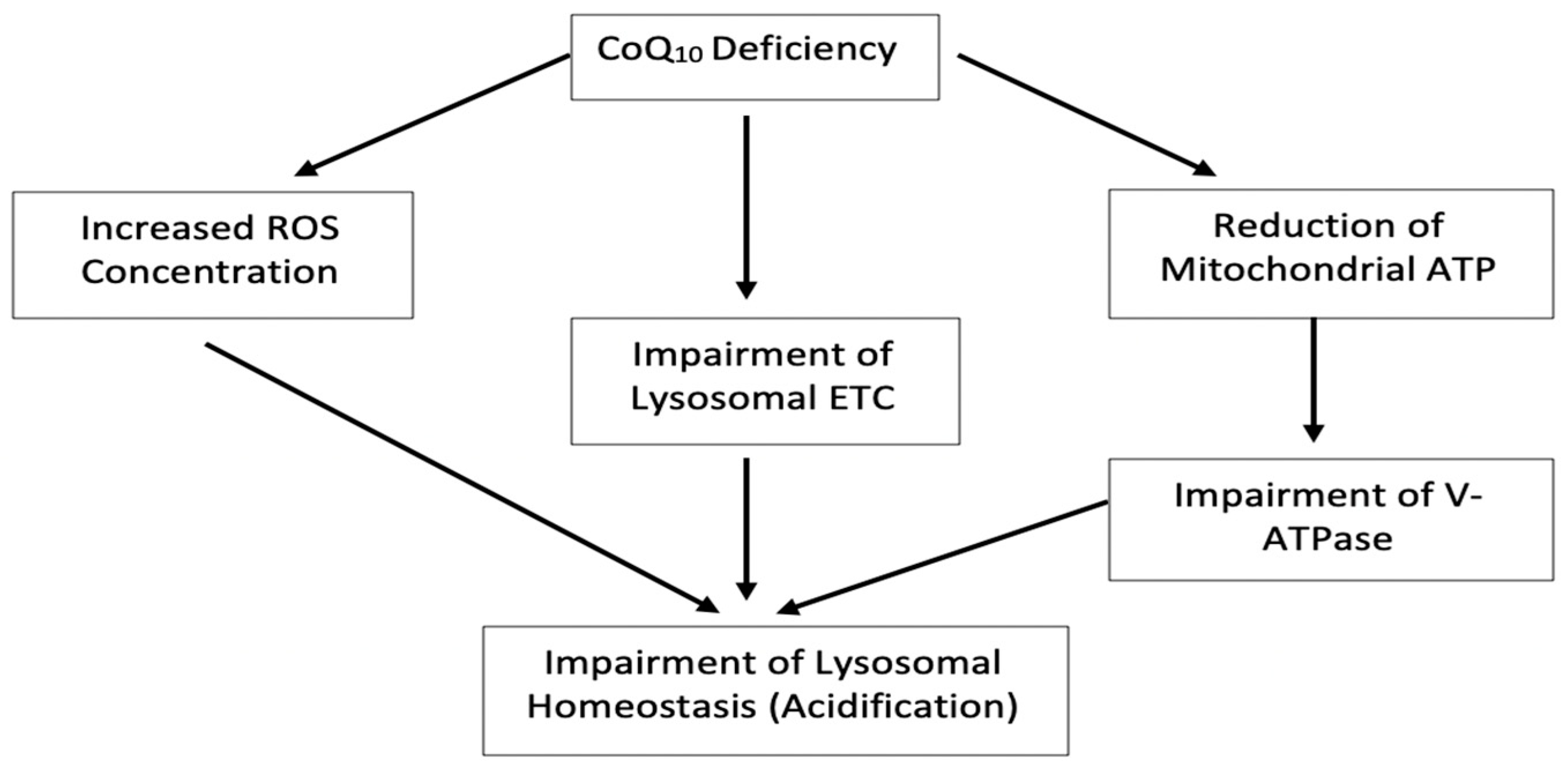 Jcm 09 01923 g009 Jcm 09 01923 g009