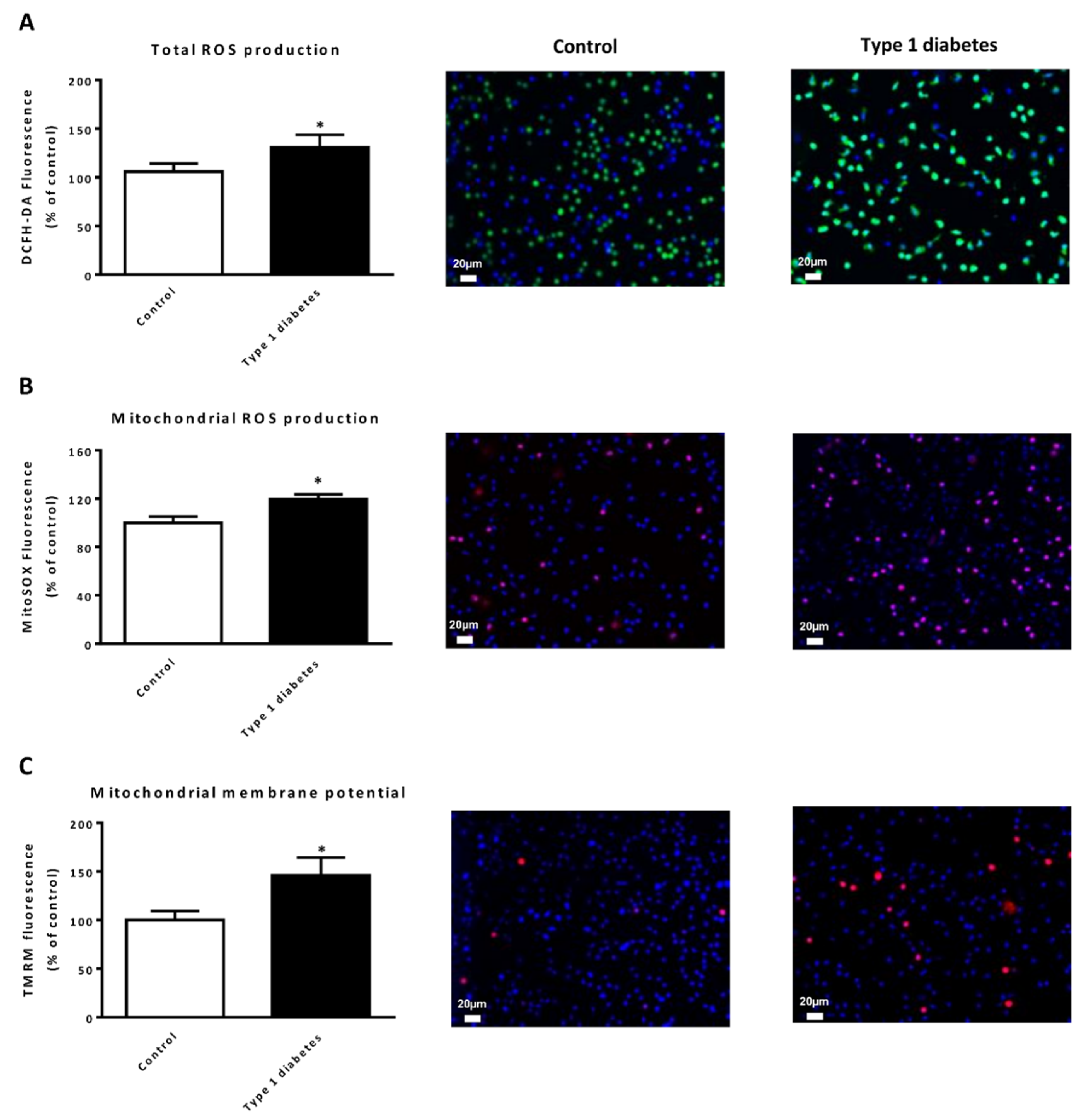 Jcm 09 02155 g001 Jcm 09 02155 g001