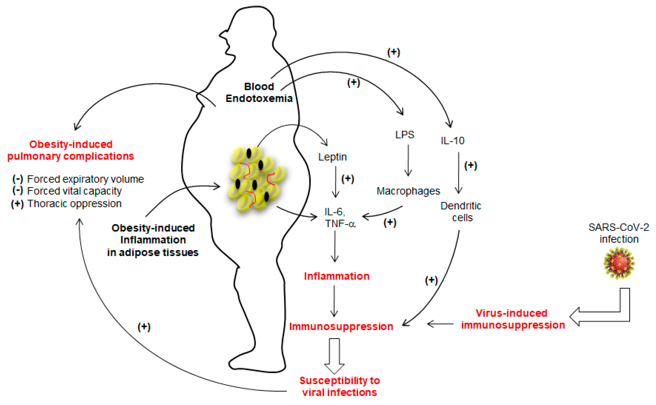 Jcm 09 02158 g001 Jcm 09 02158 g001