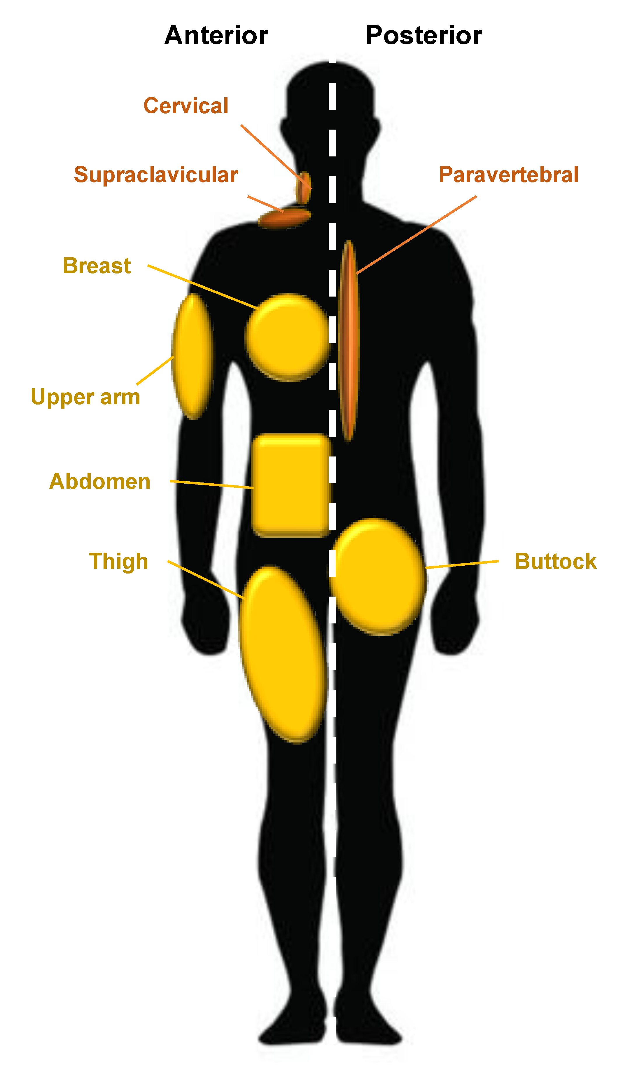 Jcm 09 02161 g002 Jcm 09 02161 g002