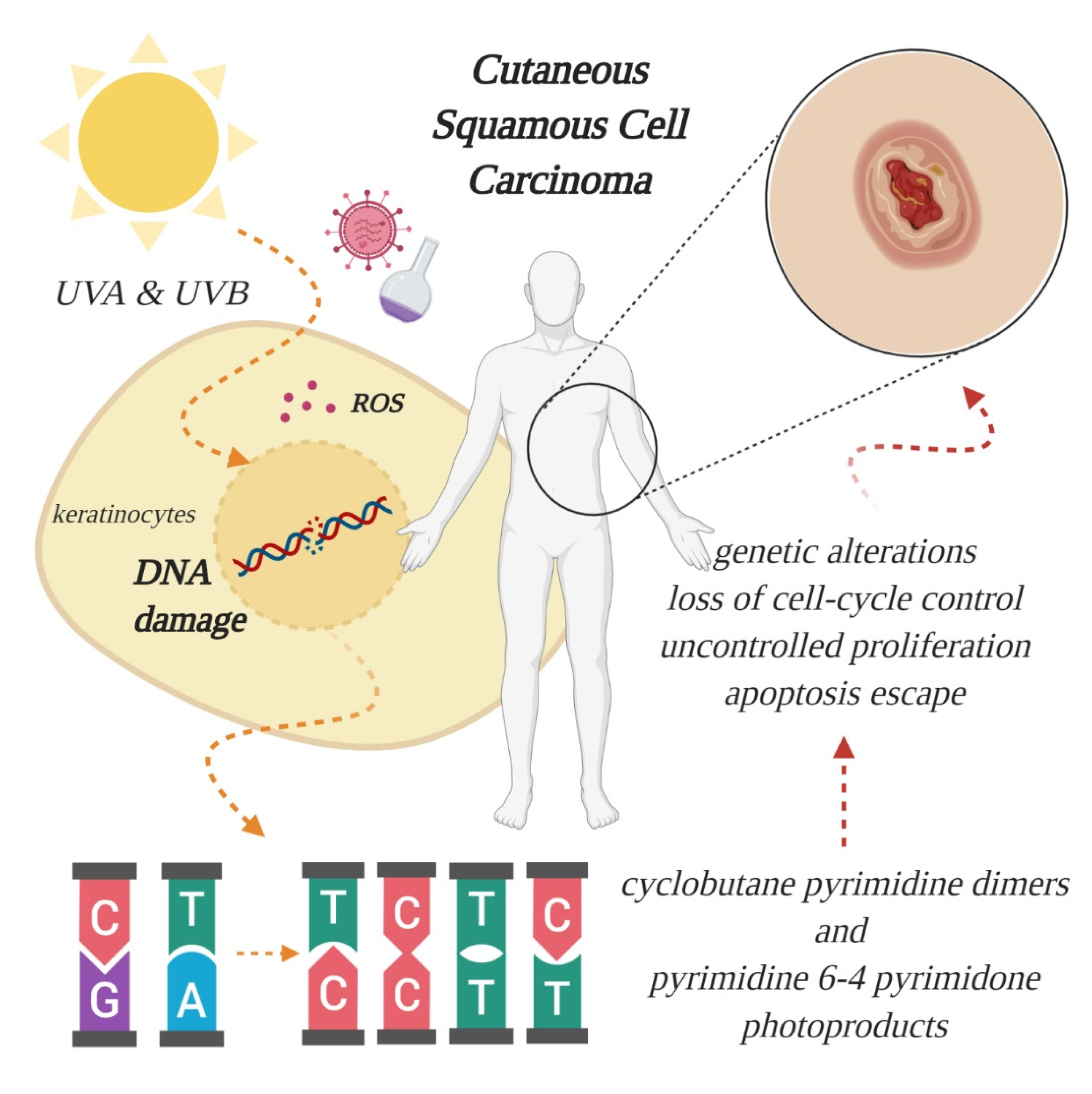 Jcm 09 02228 g001 Jcm 09 02228 g001