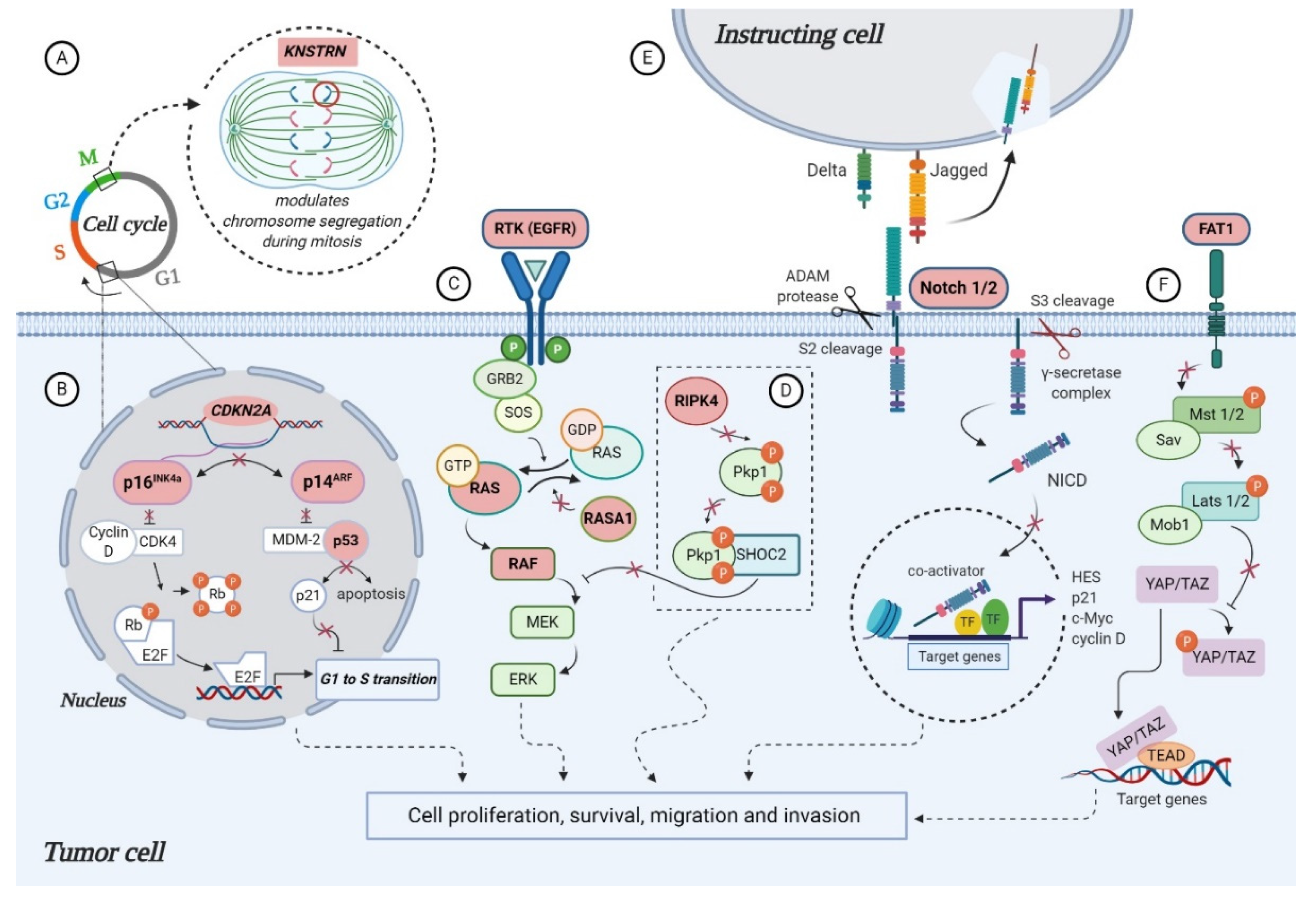 Jcm 09 02228 g002 Jcm 09 02228 g002