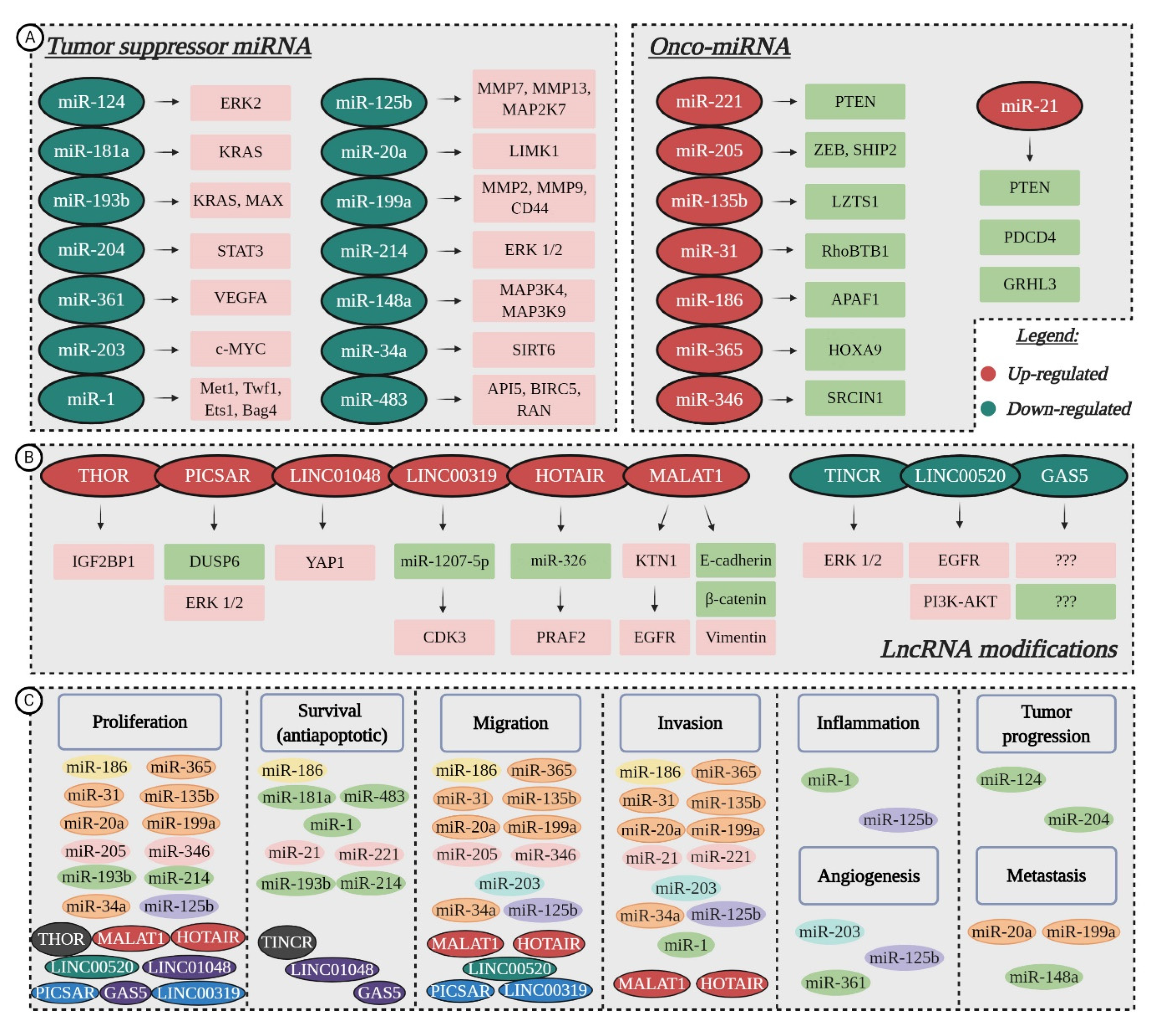 Jcm 09 02228 g003 Jcm 09 02228 g003