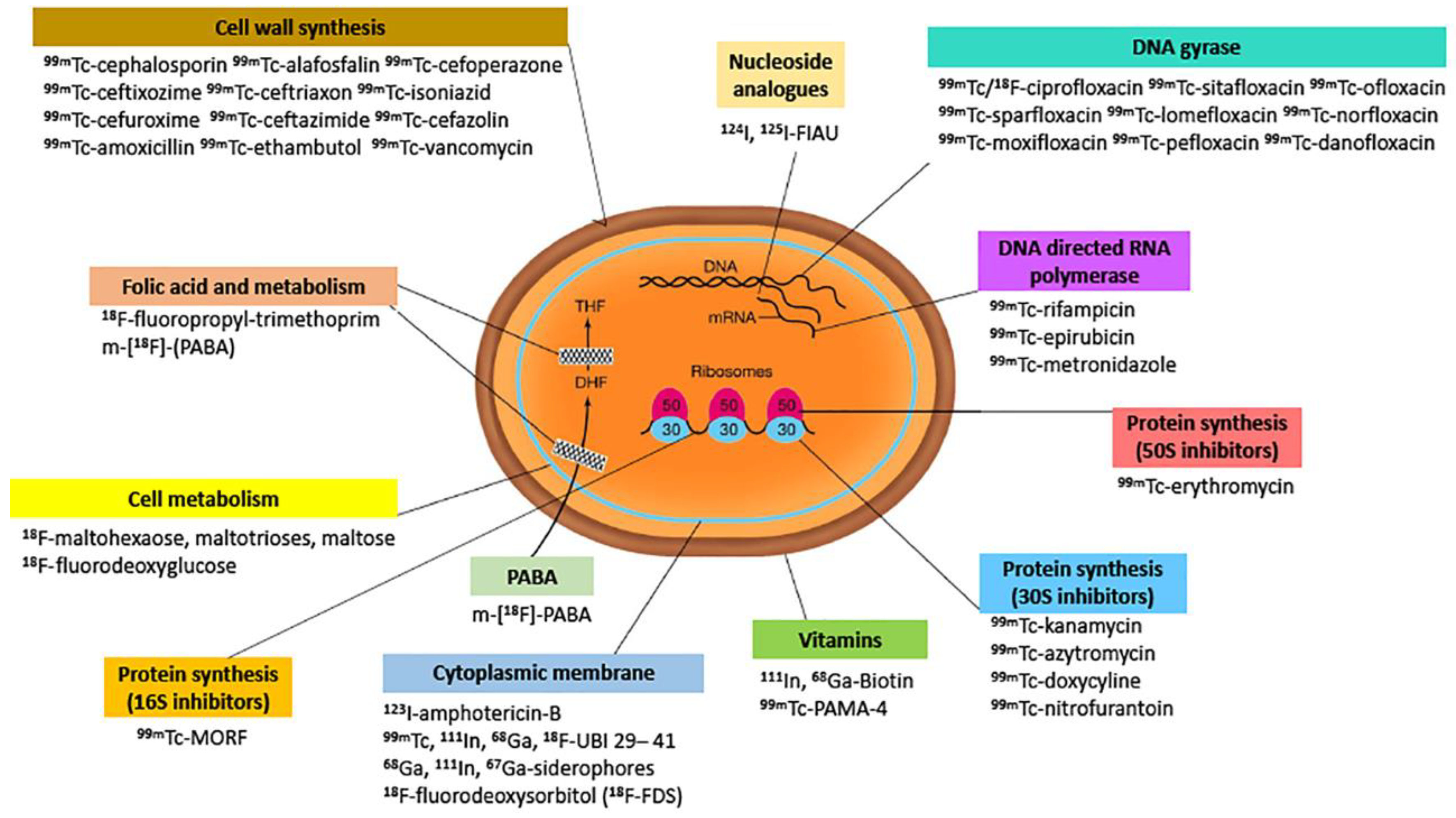 Jcm 09 02372 g001 Jcm 09 02372 g001