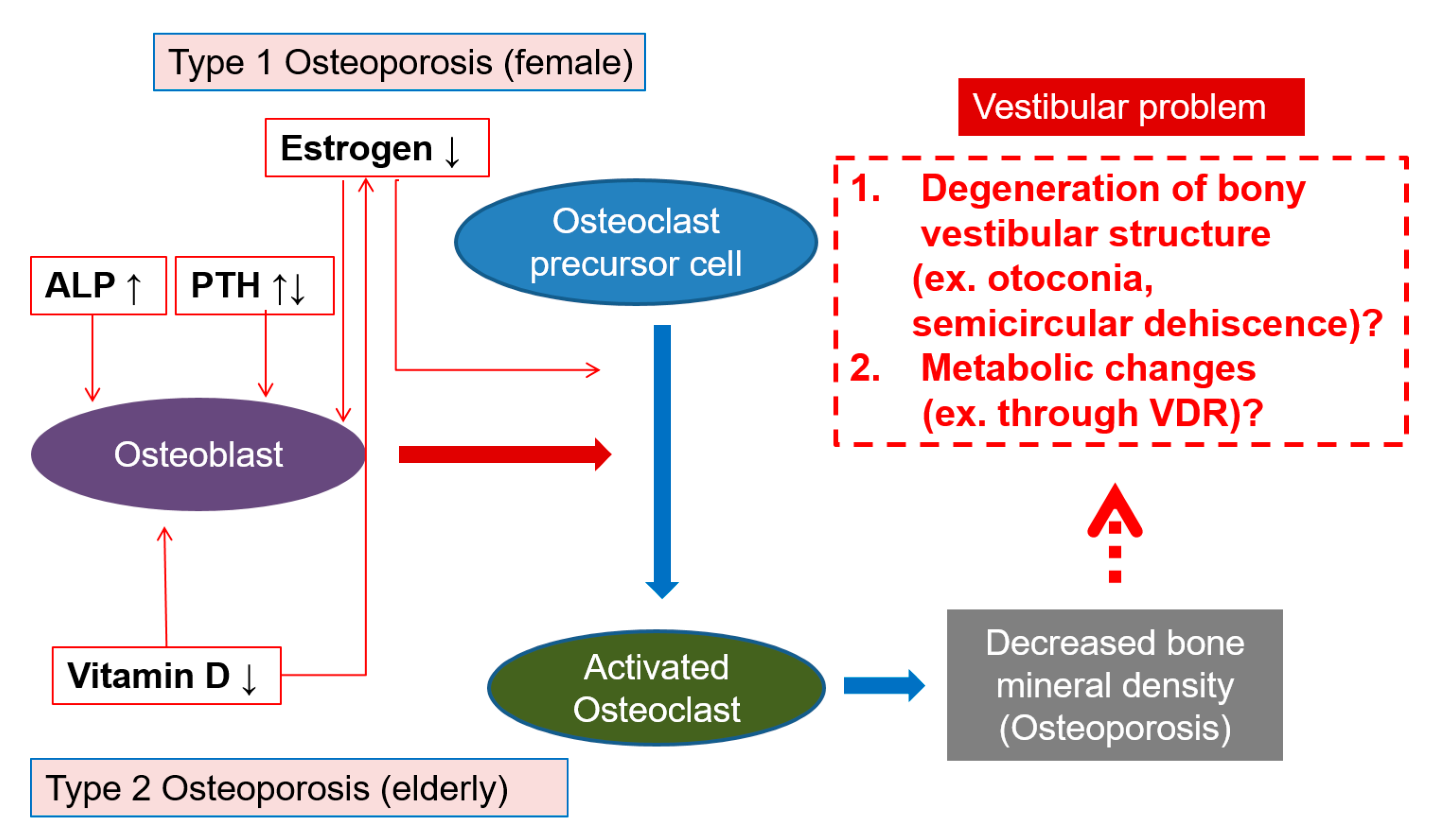 Jcm 09 02415 g004 Jcm 09 02415 g004