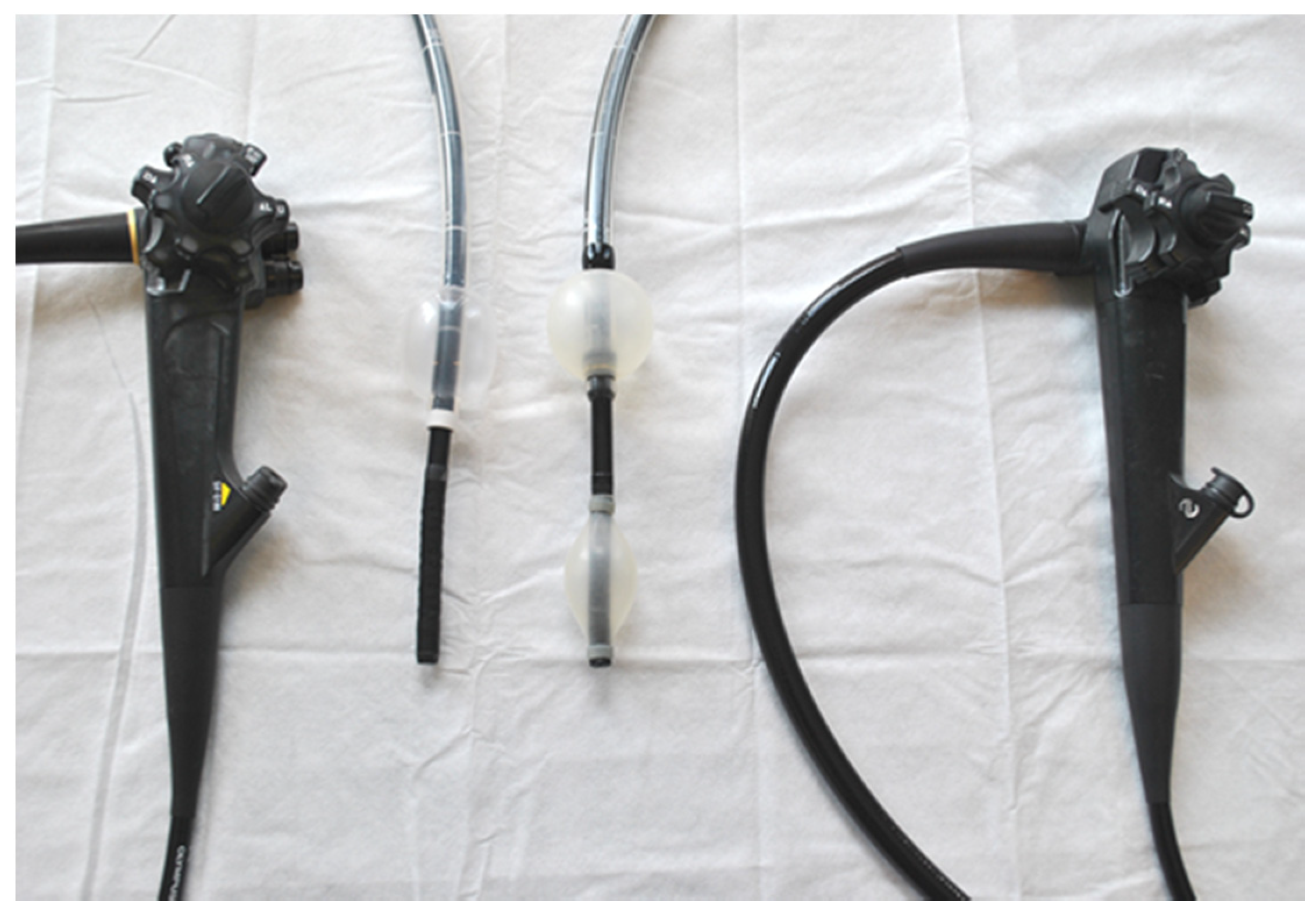 Jcm 09 02981 g001 Jcm 09 02981 g001