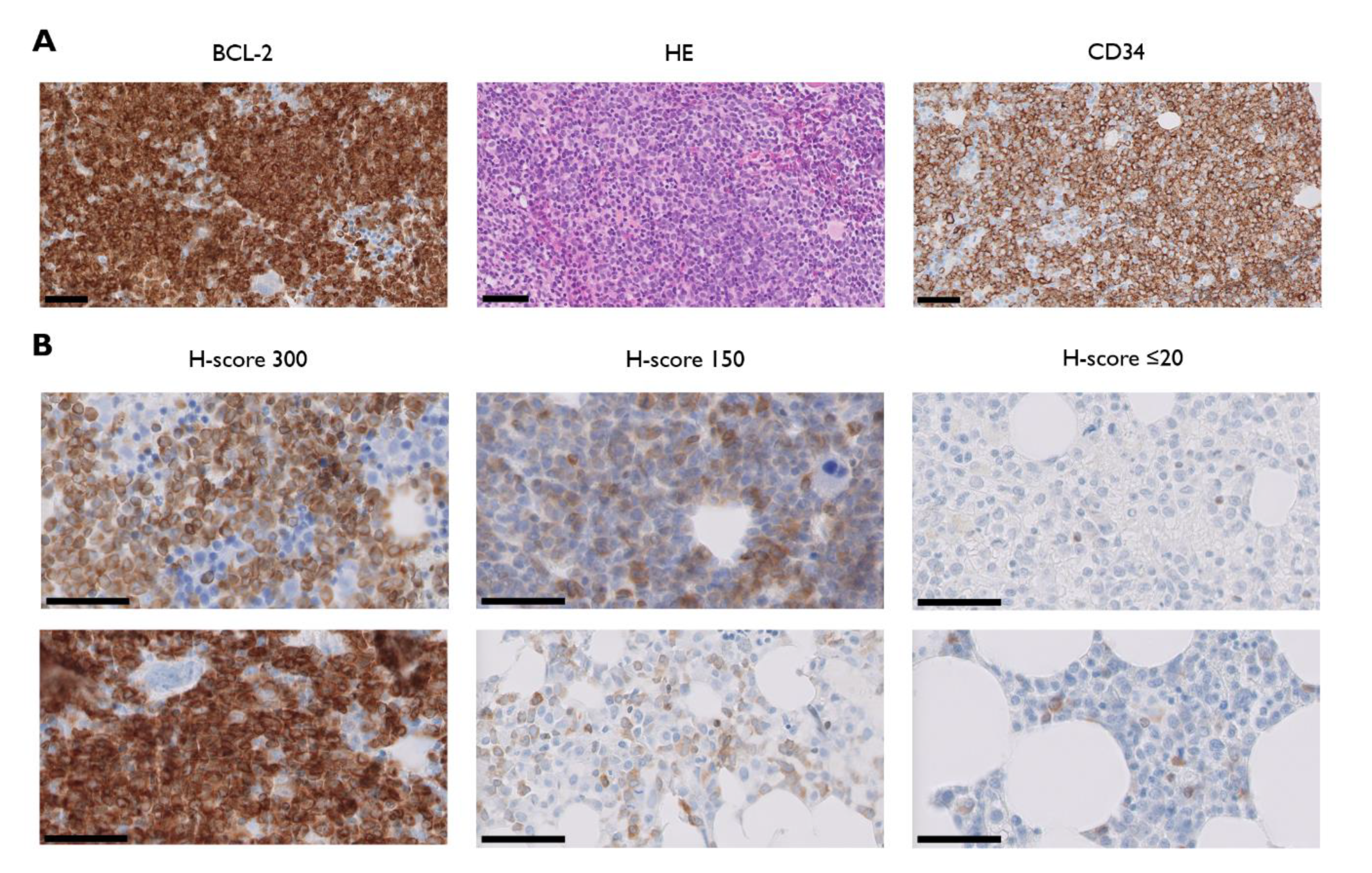 Jcm 09 03090 g001 Jcm 09 03090 g001