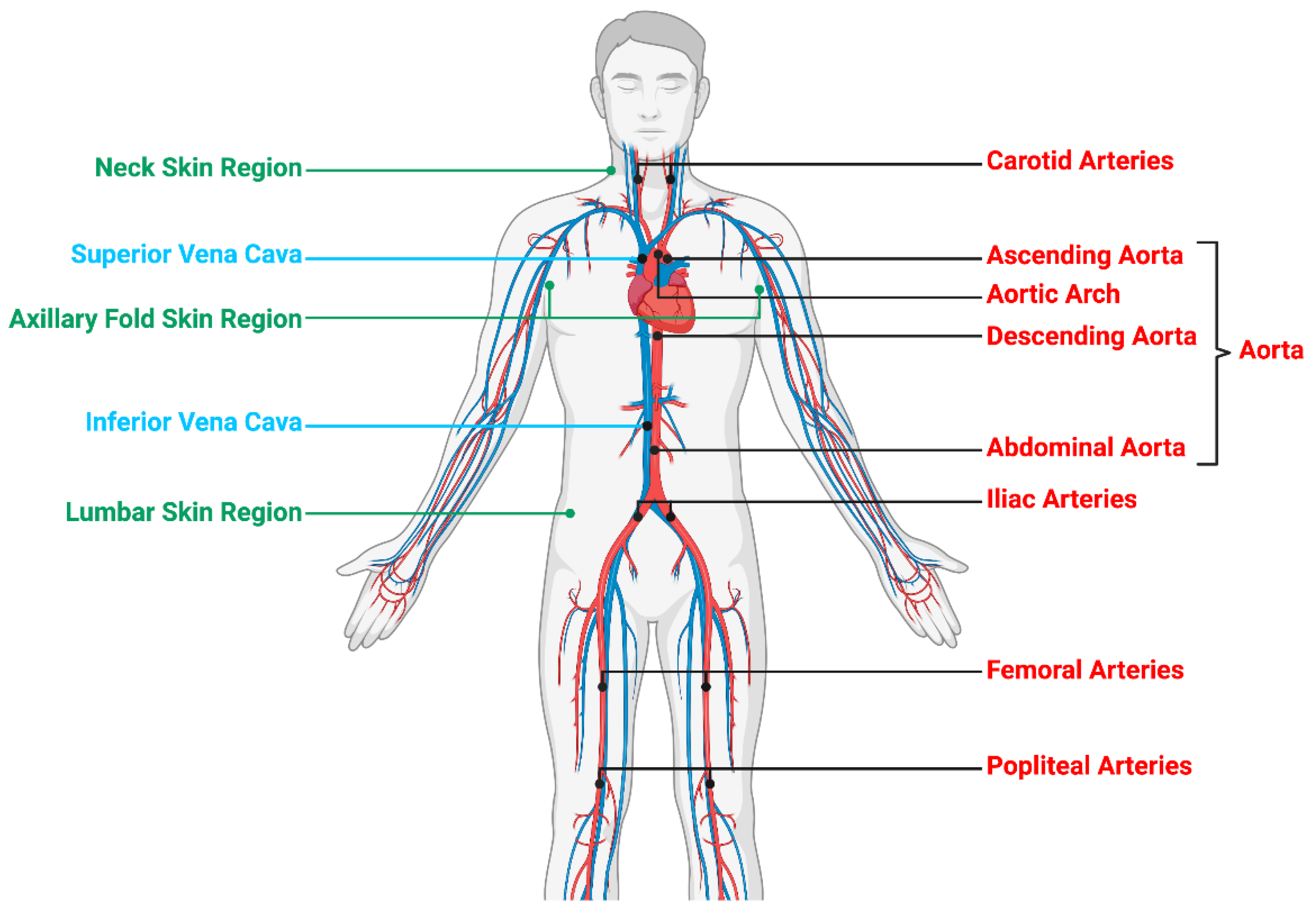 Jcm 09 03448 g001 Jcm 09 03448 g001