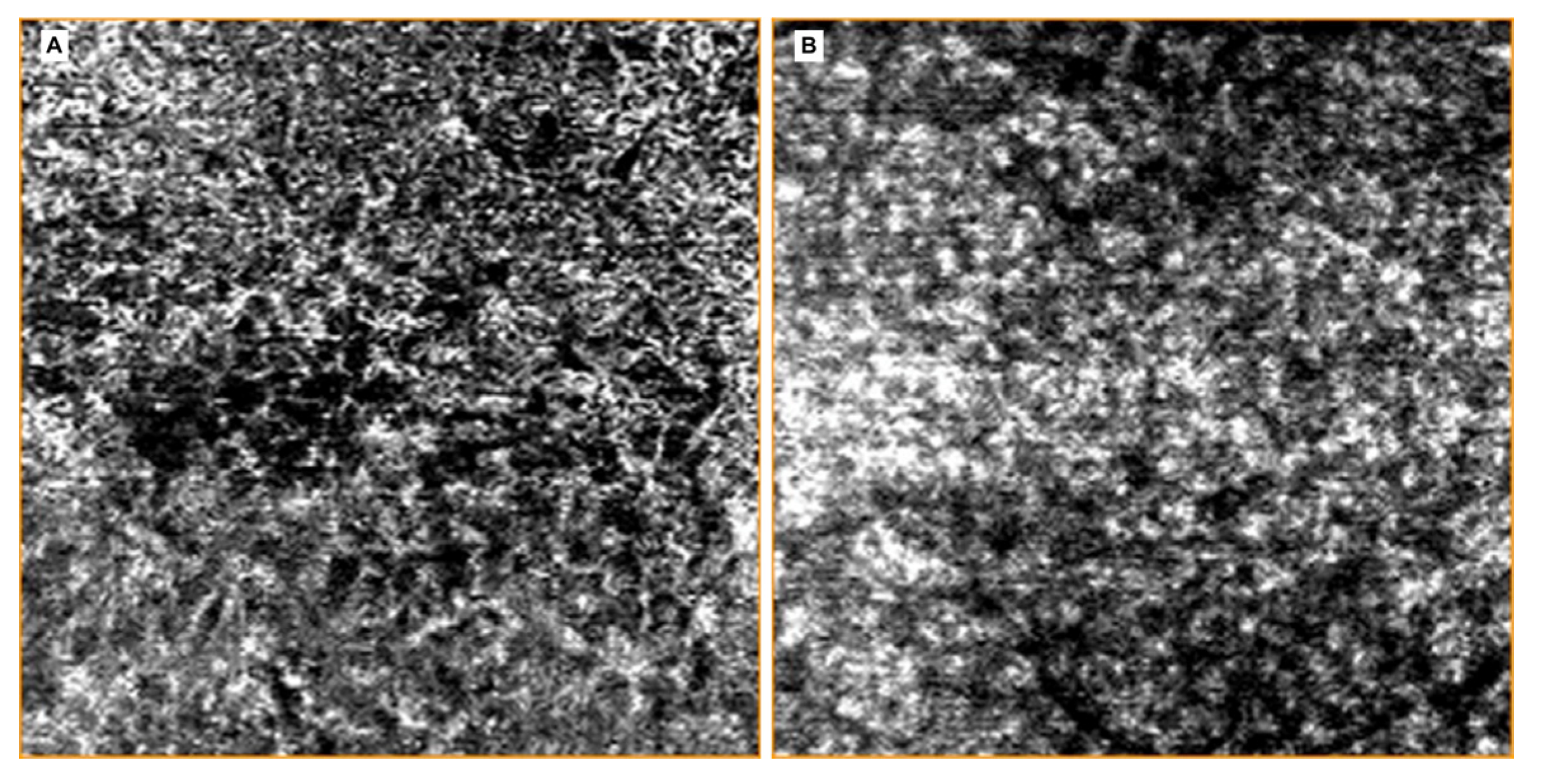 Jcm 09 03496 g008