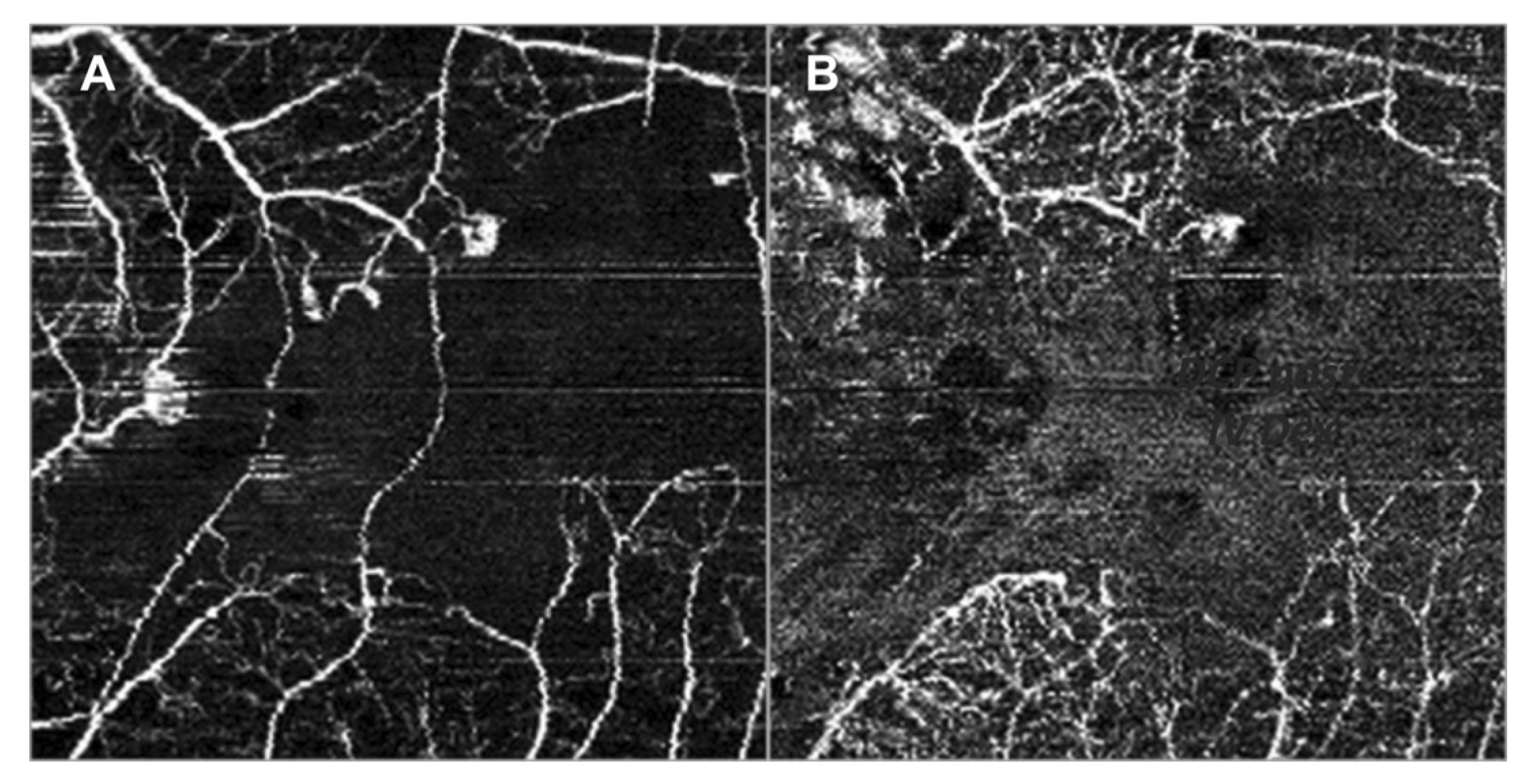 Jcm 09 03496 g013