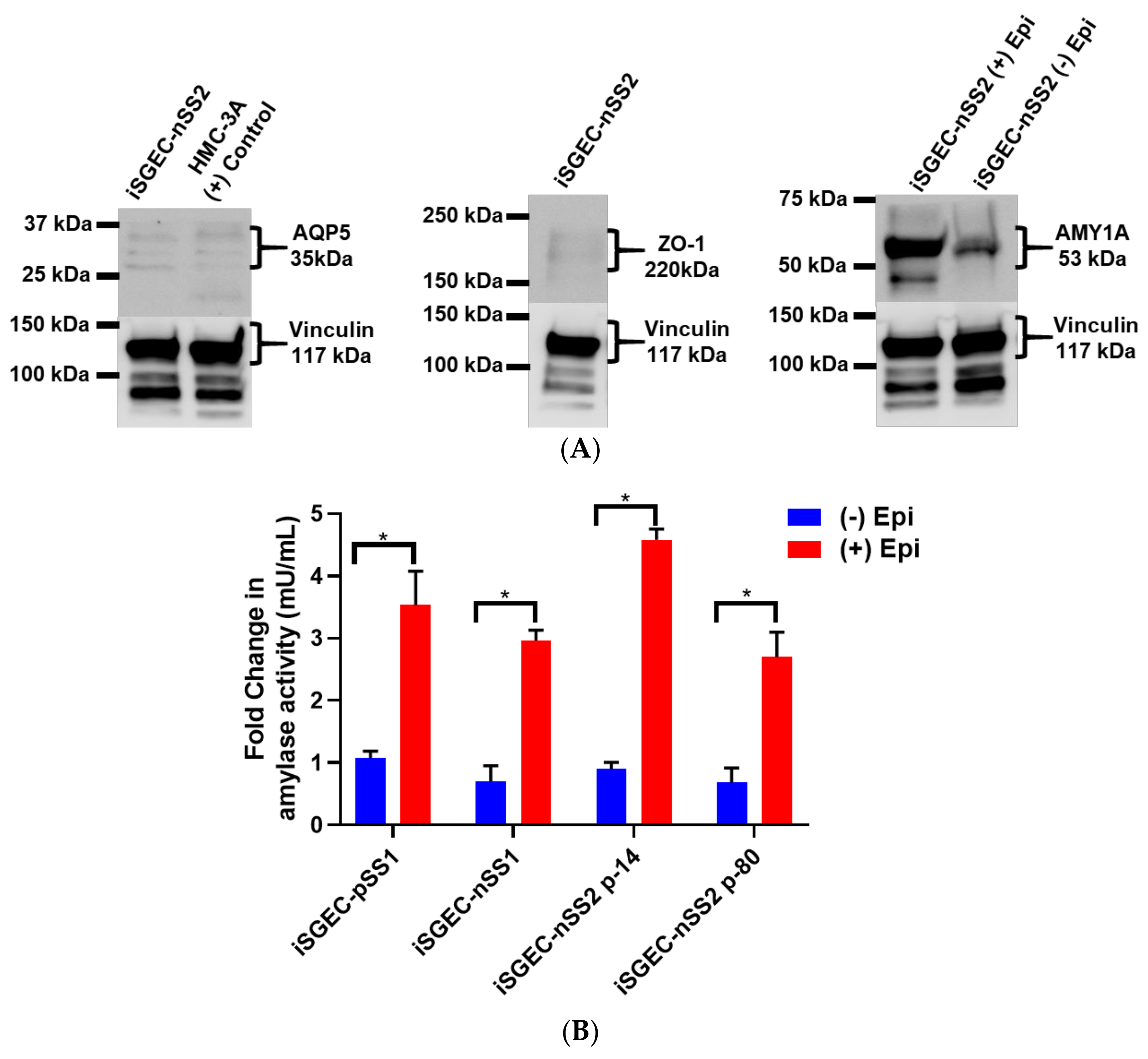 Jcm 09 03820 g006a Jcm 09 03820 g006a