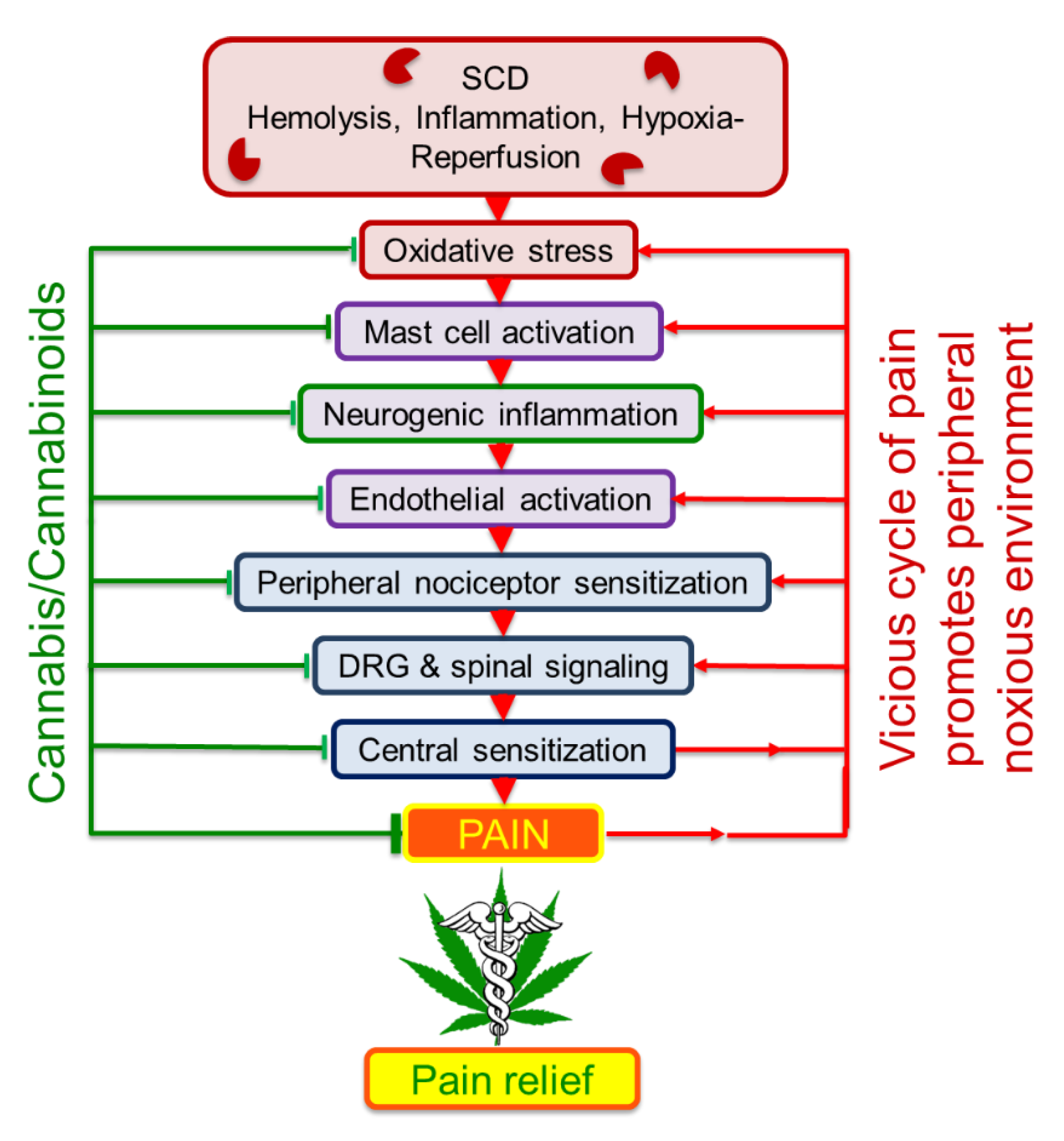 Jcm 09 03902 g001 Jcm 09 03902 g001