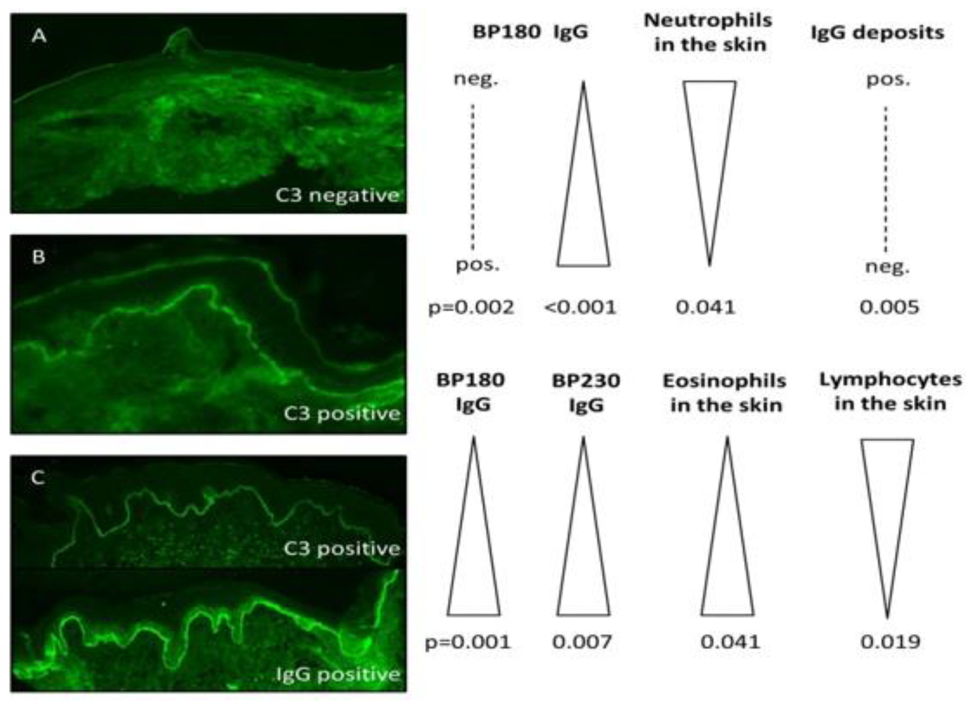 Jcm 09 03928 g002 Jcm 09 03928 g002