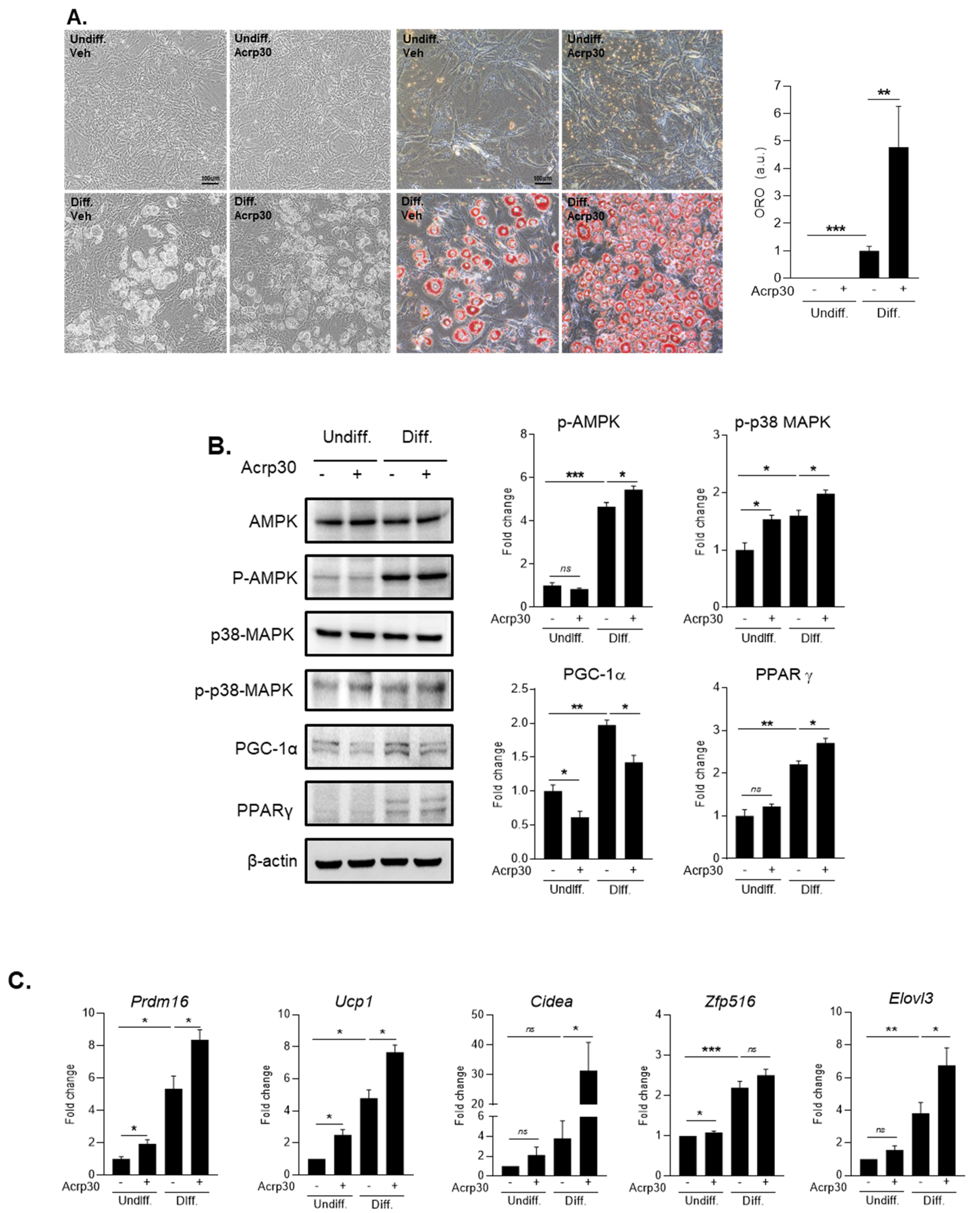 Jcm 10 00056 g005 Jcm 10 00056 g005