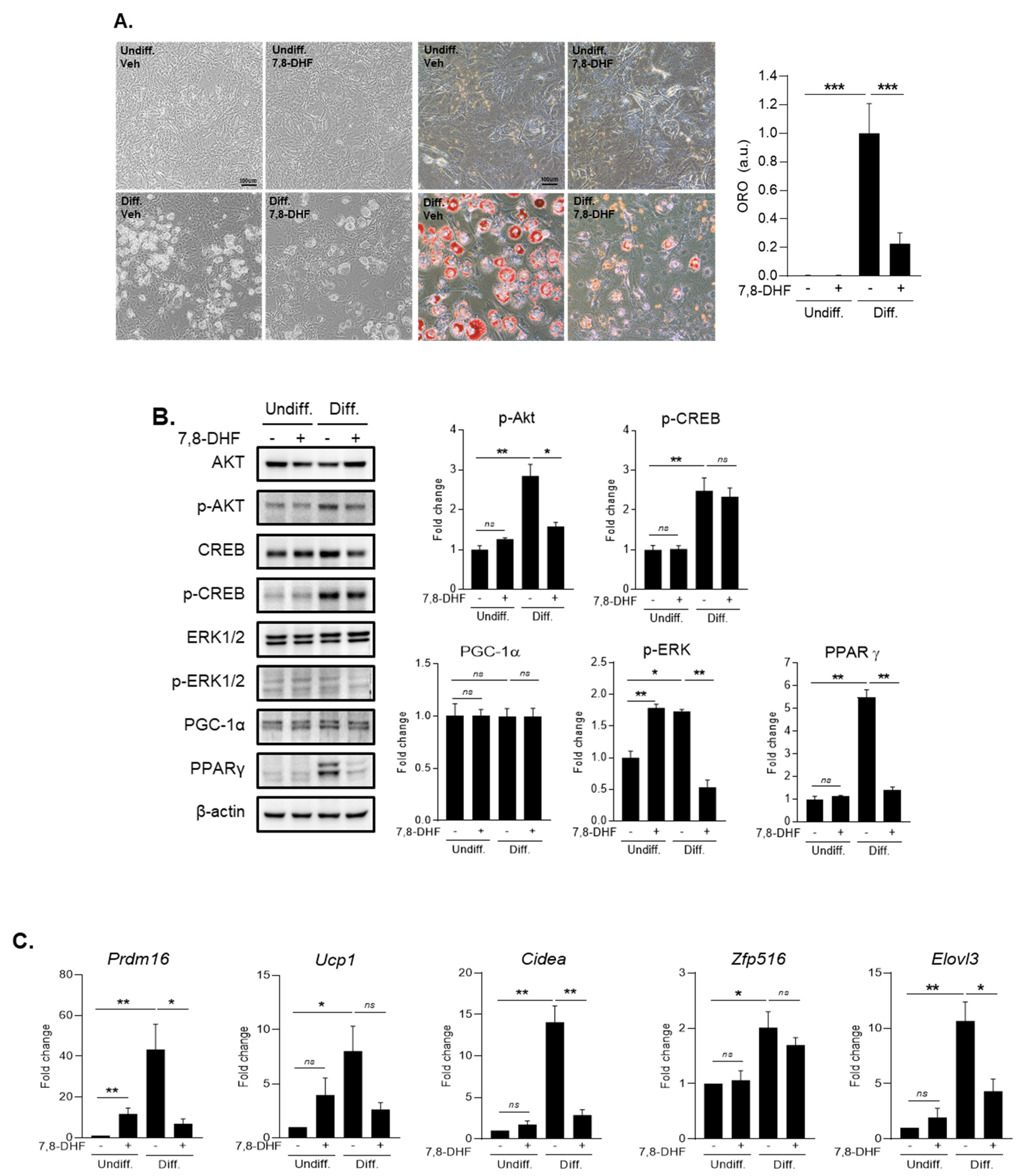 Jcm 10 00056 g006 Jcm 10 00056 g006