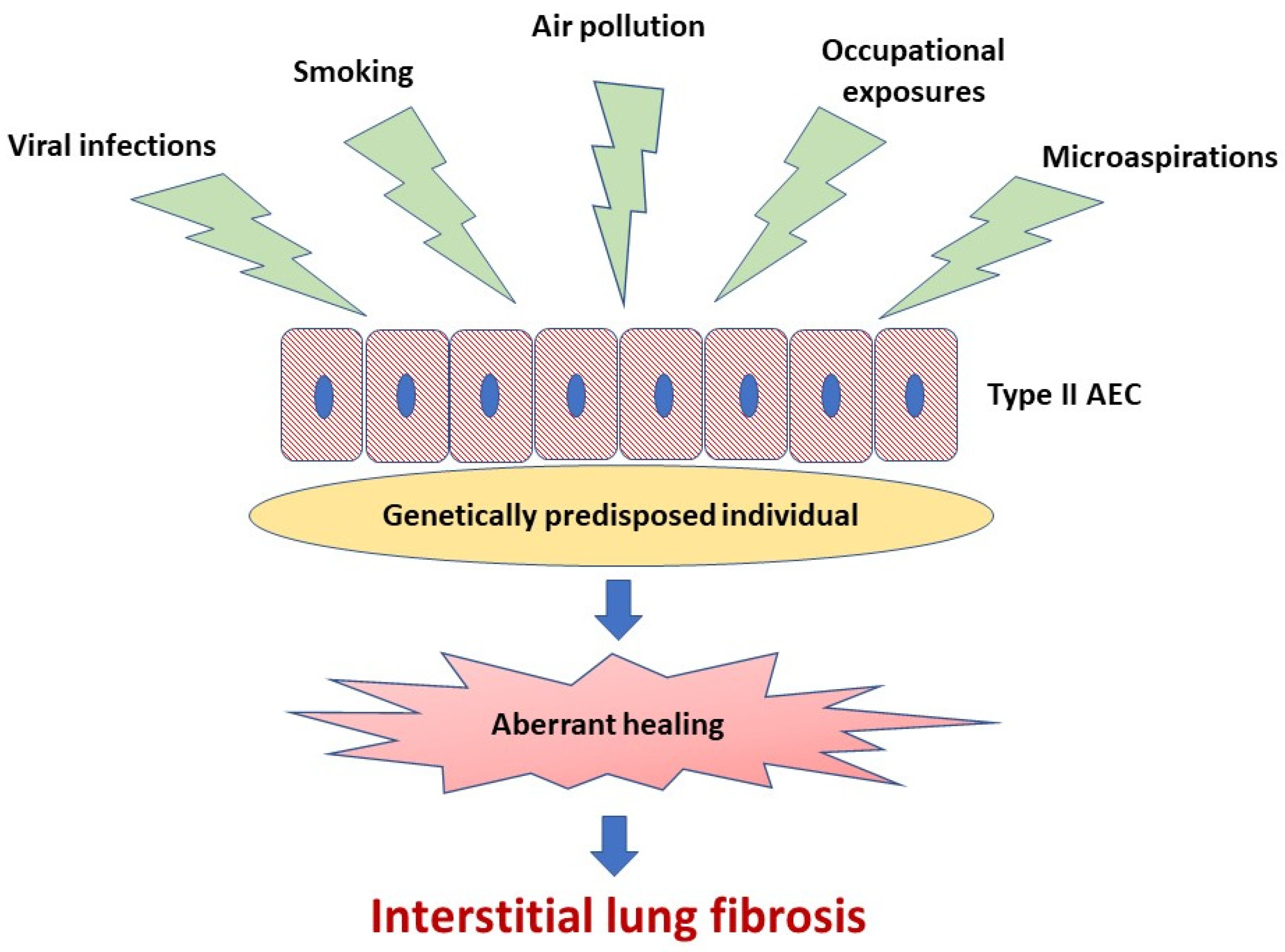 Jcm 10 00077 g001 Jcm 10 00077 g001