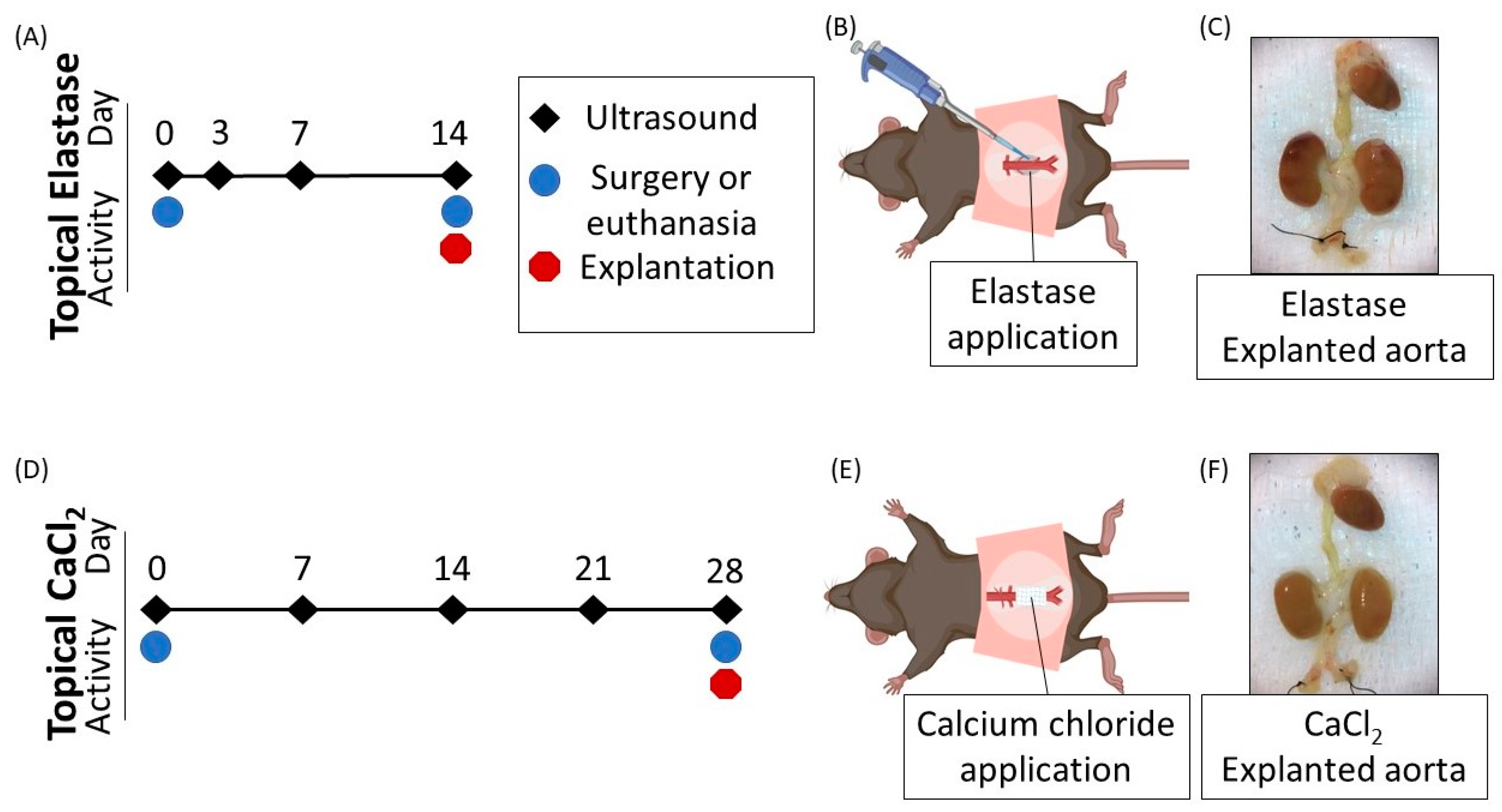 Jcm 10 00219 g001 Jcm 10 00219 g001