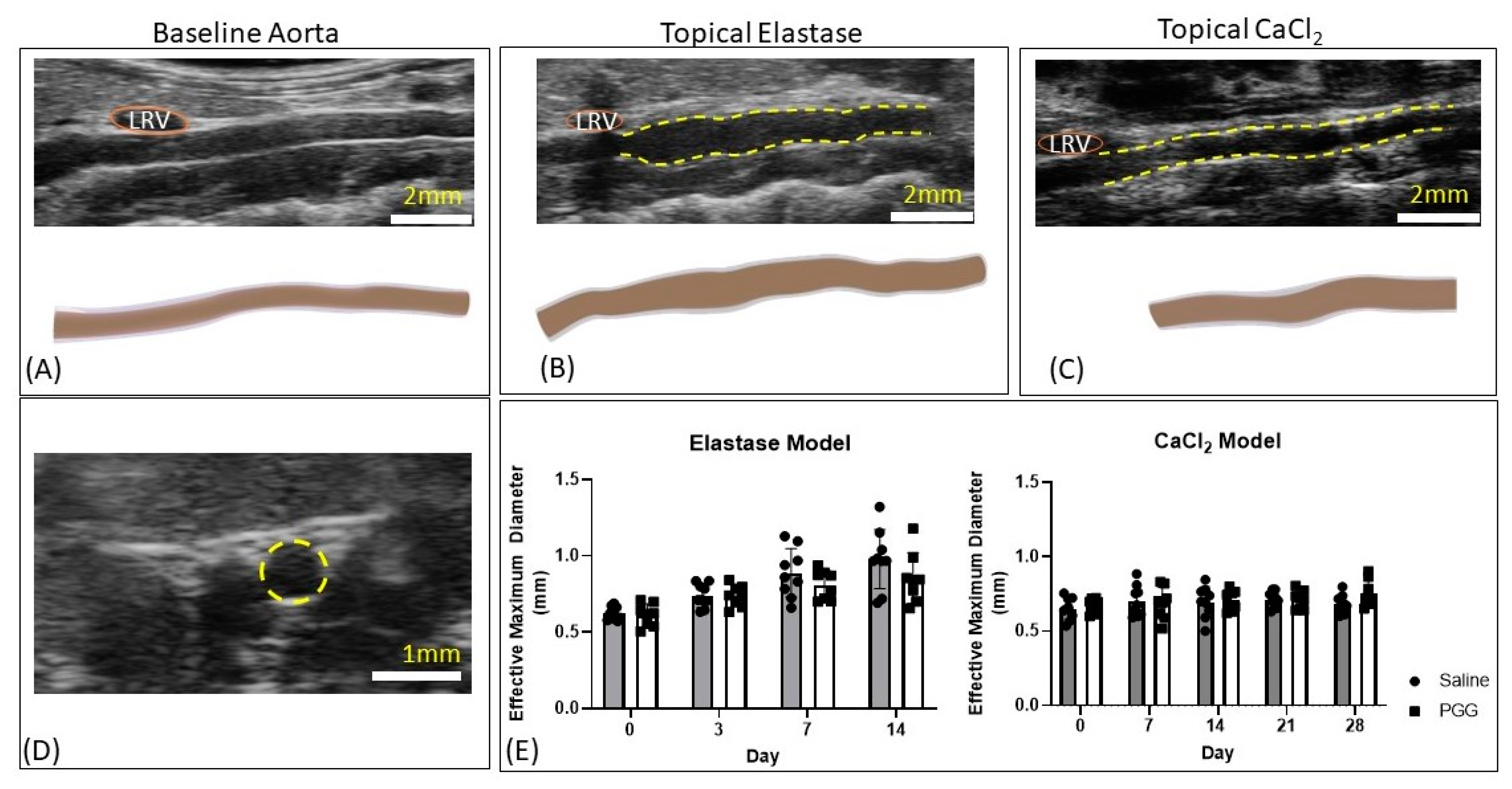 Jcm 10 00219 g003 Jcm 10 00219 g003