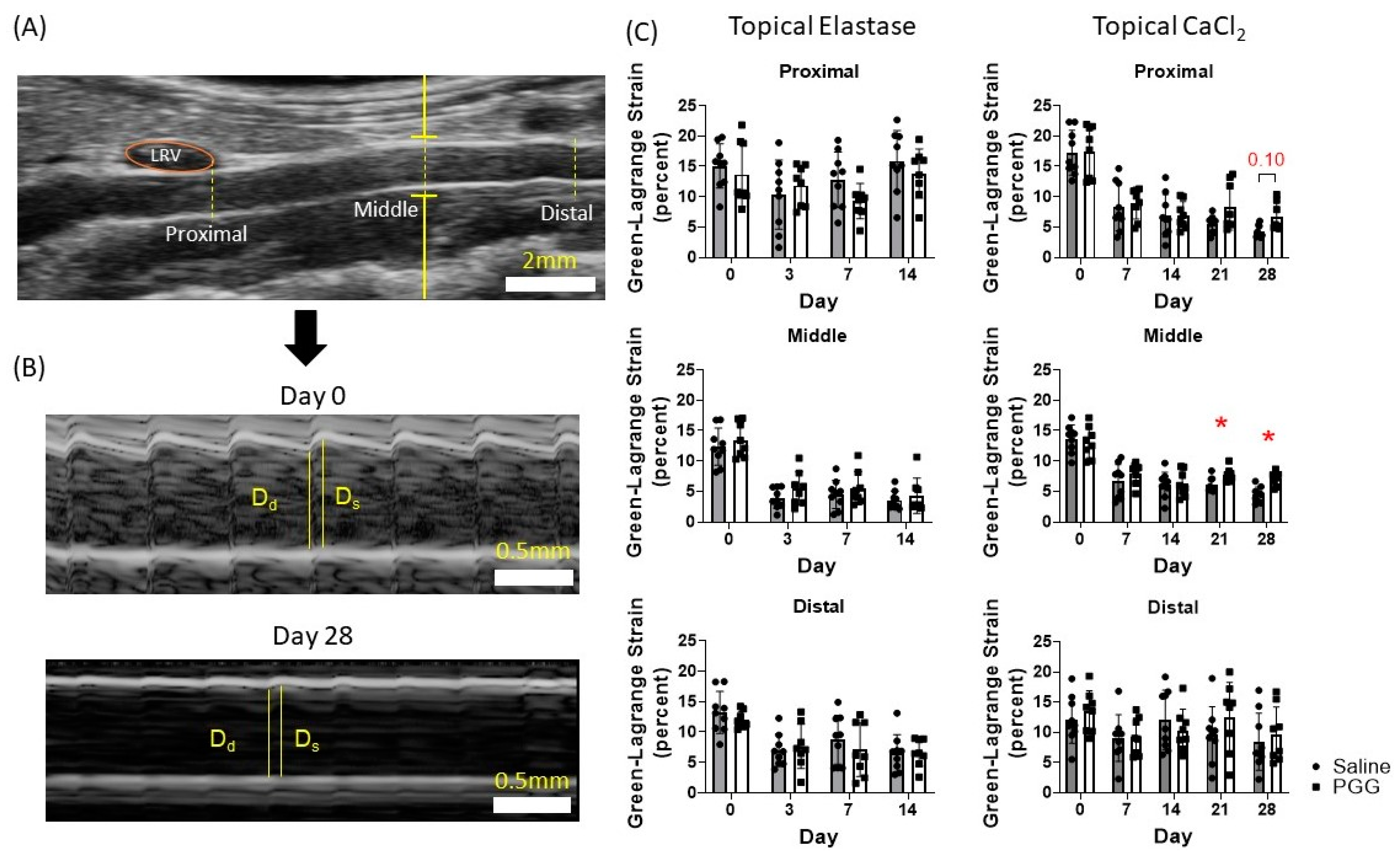 Jcm 10 00219 g004 Jcm 10 00219 g004