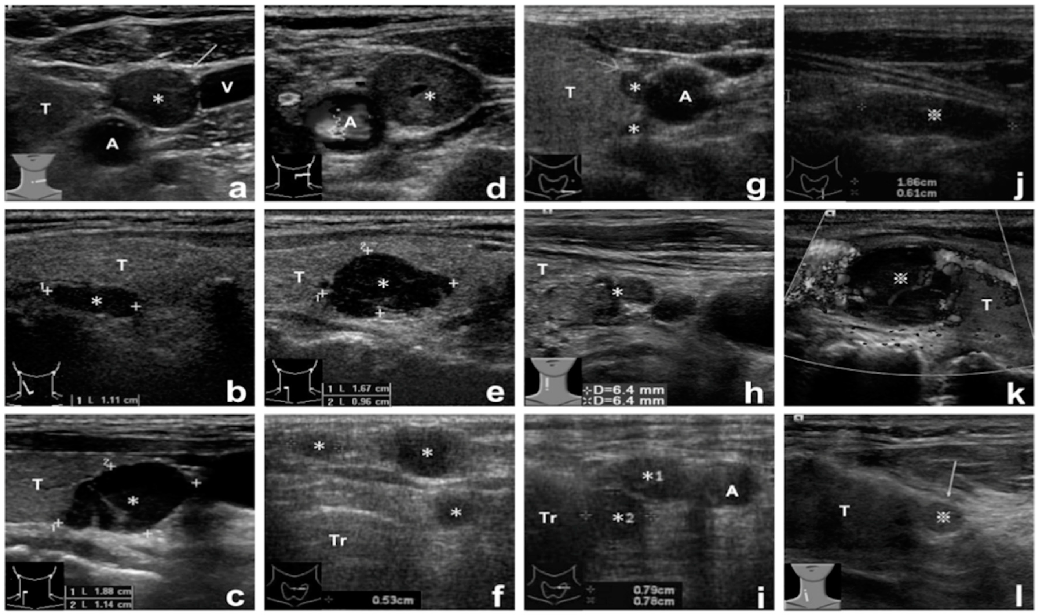 Jcm 10 00329 g001 Jcm 10 00329 g001