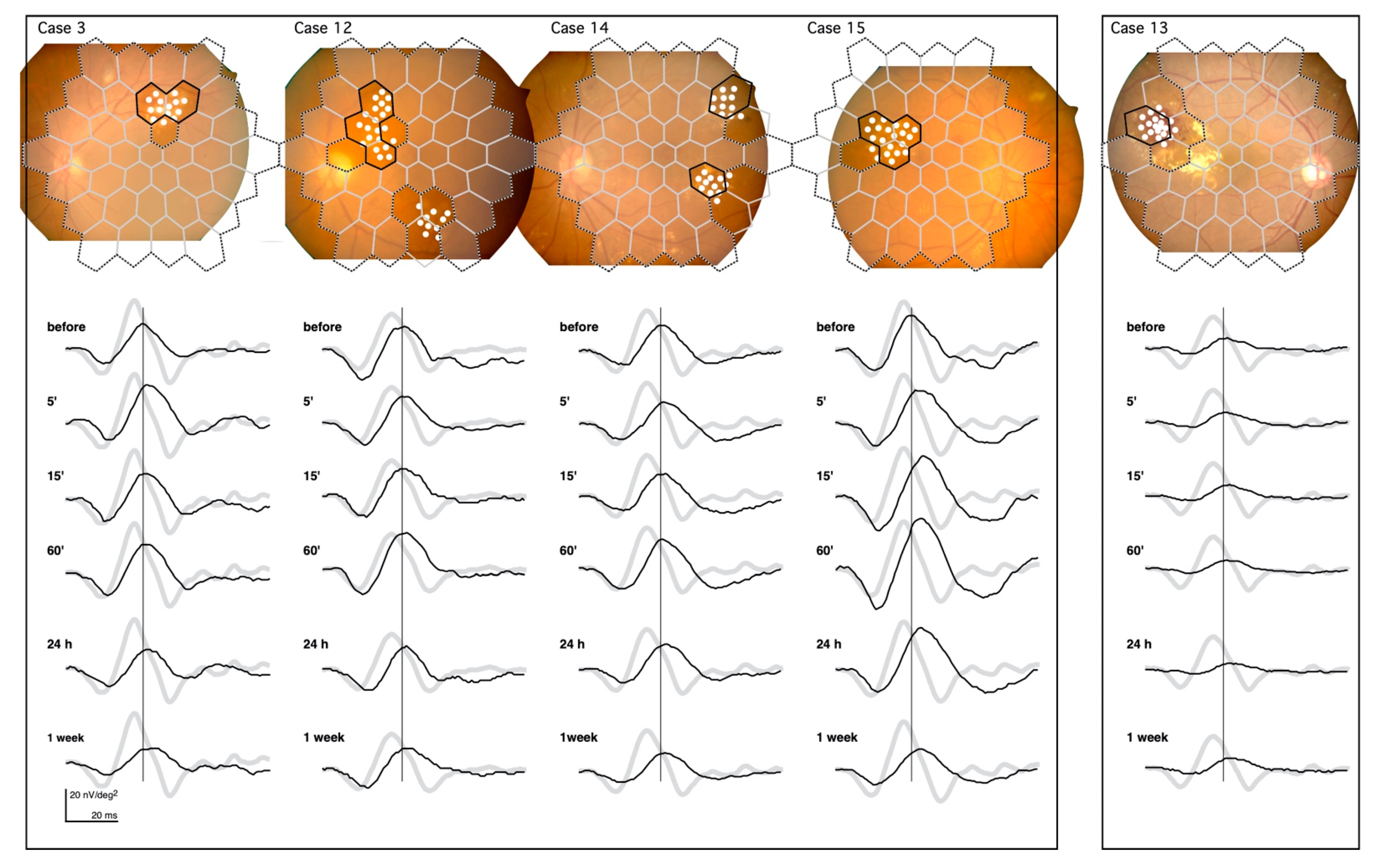 Jcm 10 00357 g003 Jcm 10 00357 g003