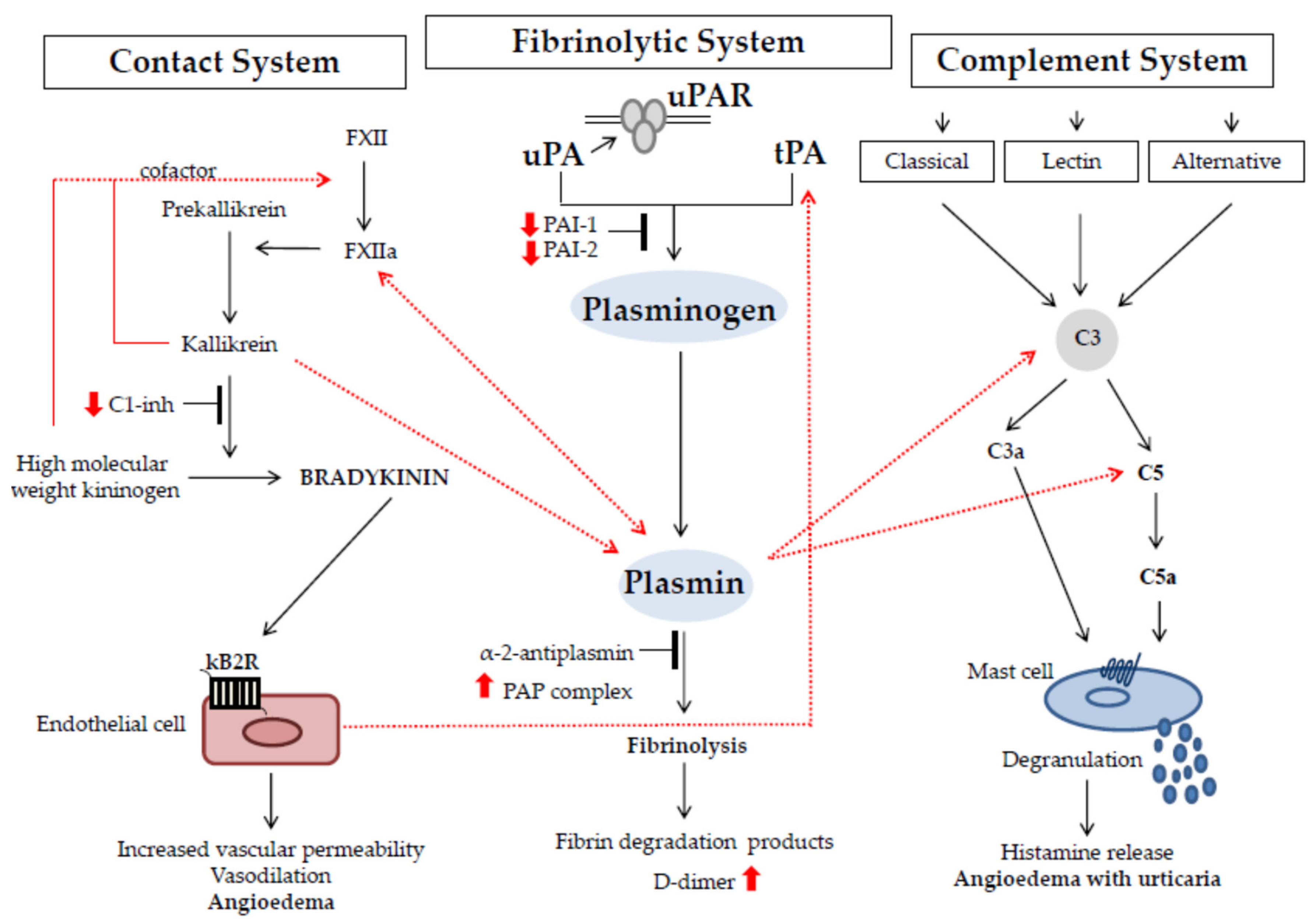 Jcm 10 00518 g002 Jcm 10 00518 g002
