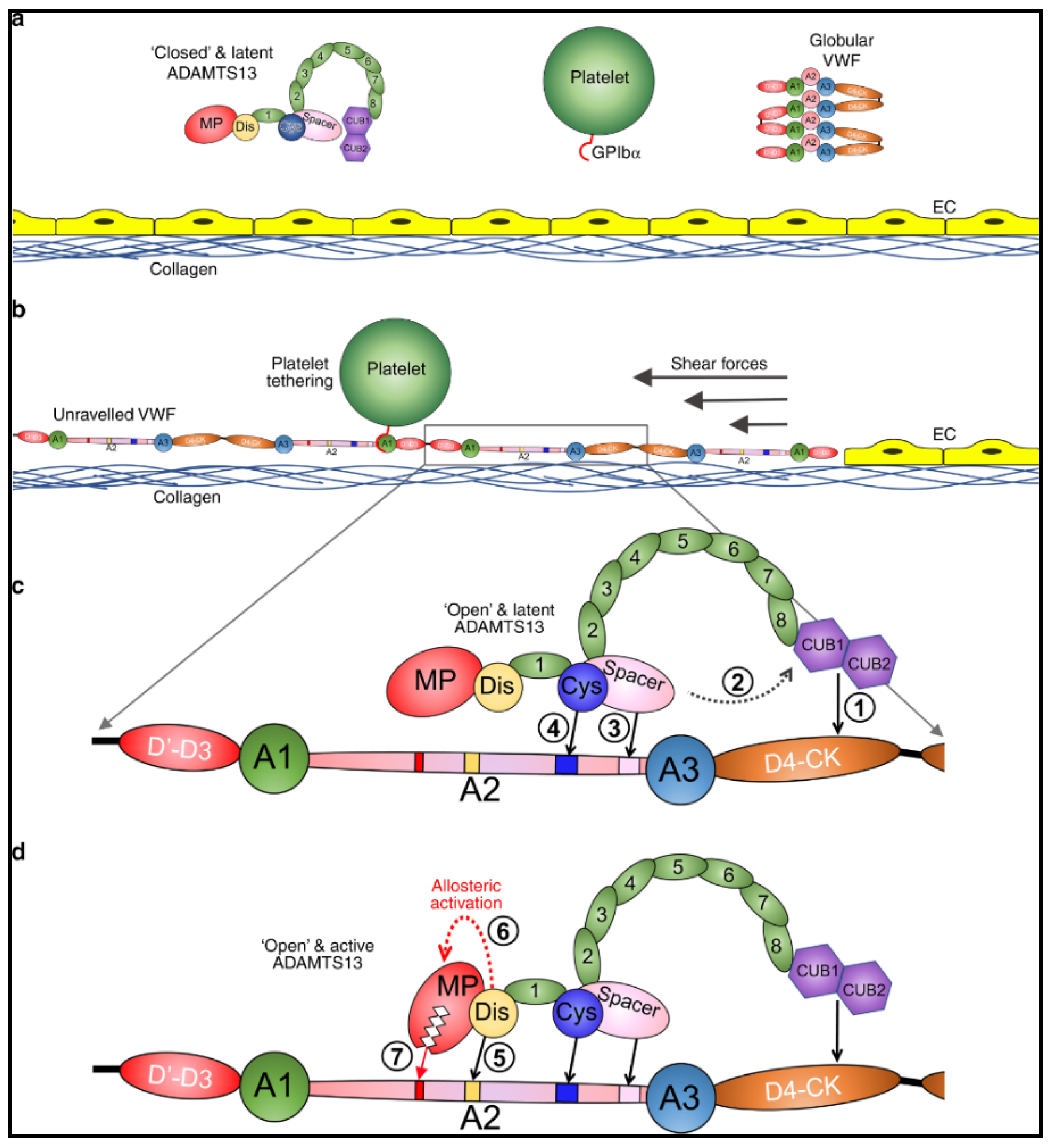 Jcm 10 00536 g001 Jcm 10 00536 g001