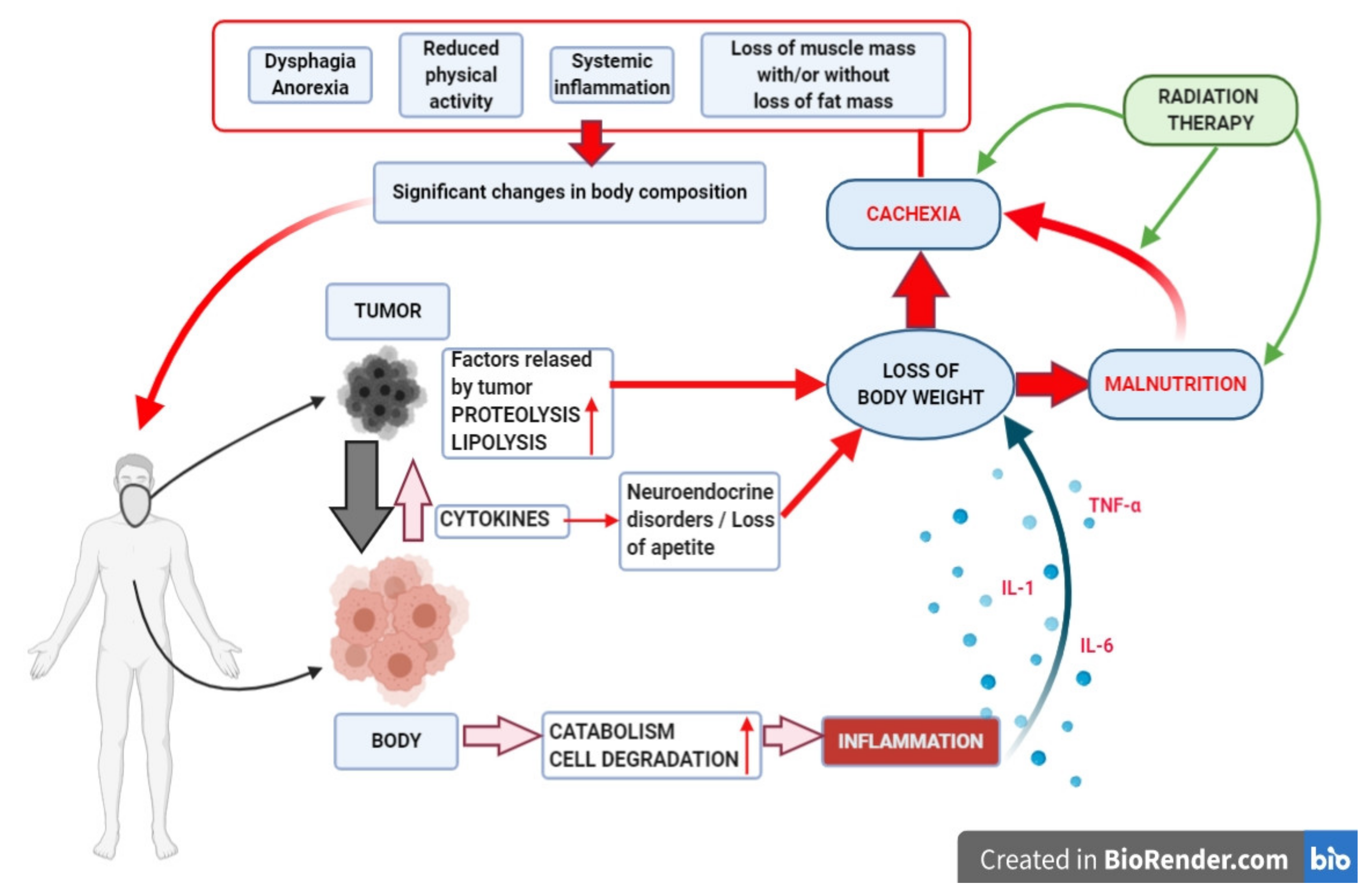 Jcm 10 00574 g001 Jcm 10 00574 g001