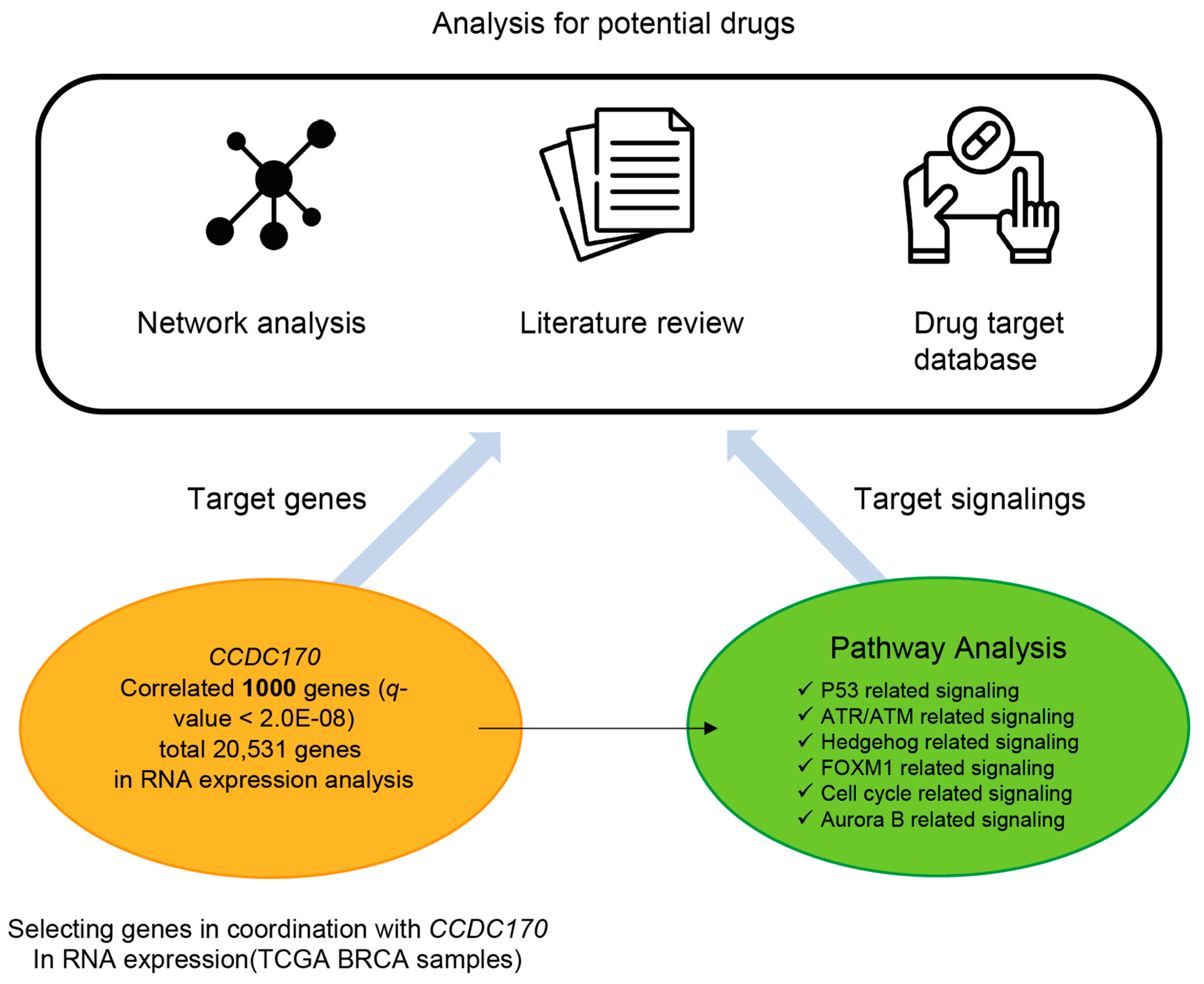 Jcm 10 00582 g001 Jcm 10 00582 g001
