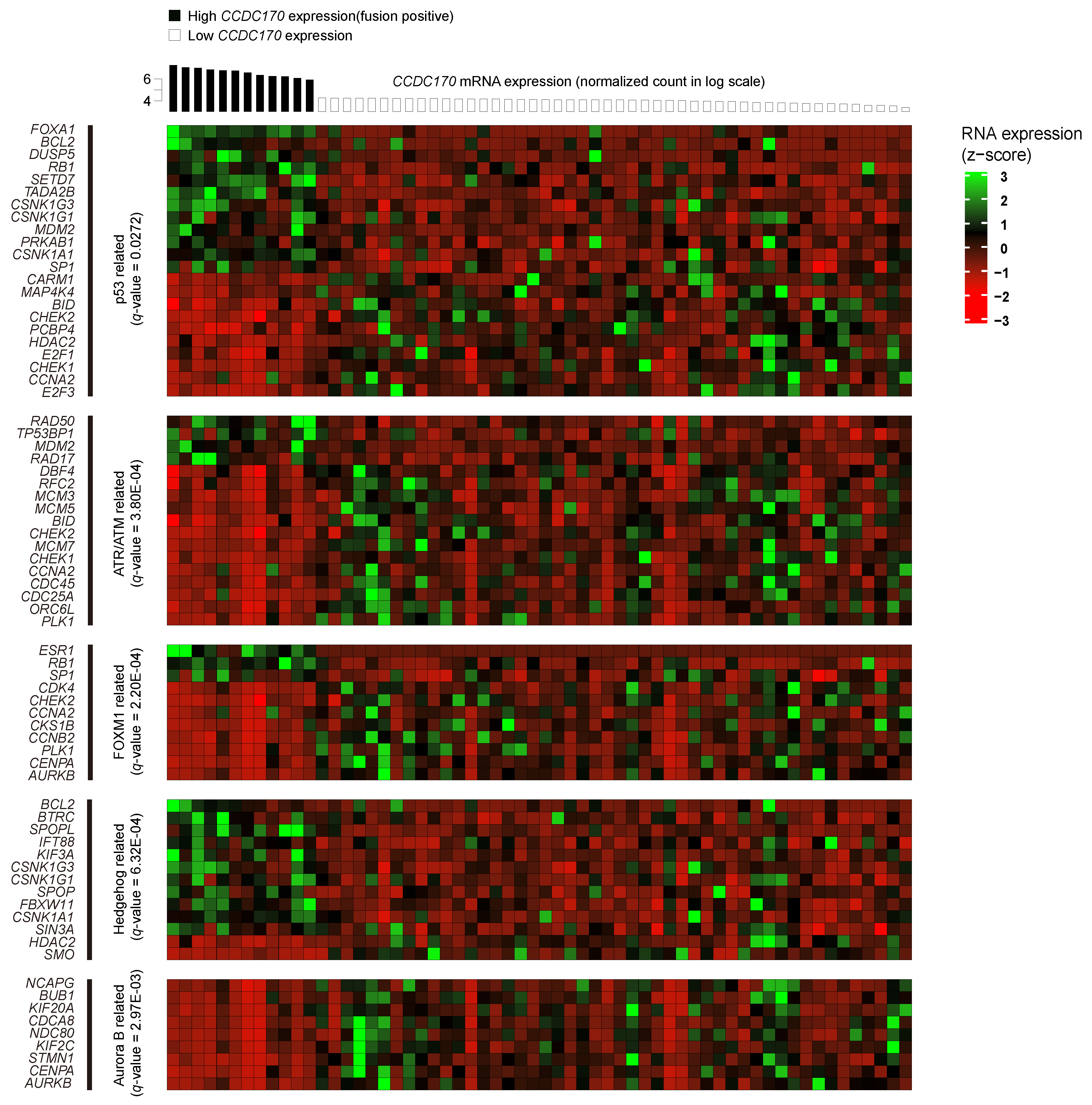 Jcm 10 00582 g002 Jcm 10 00582 g002