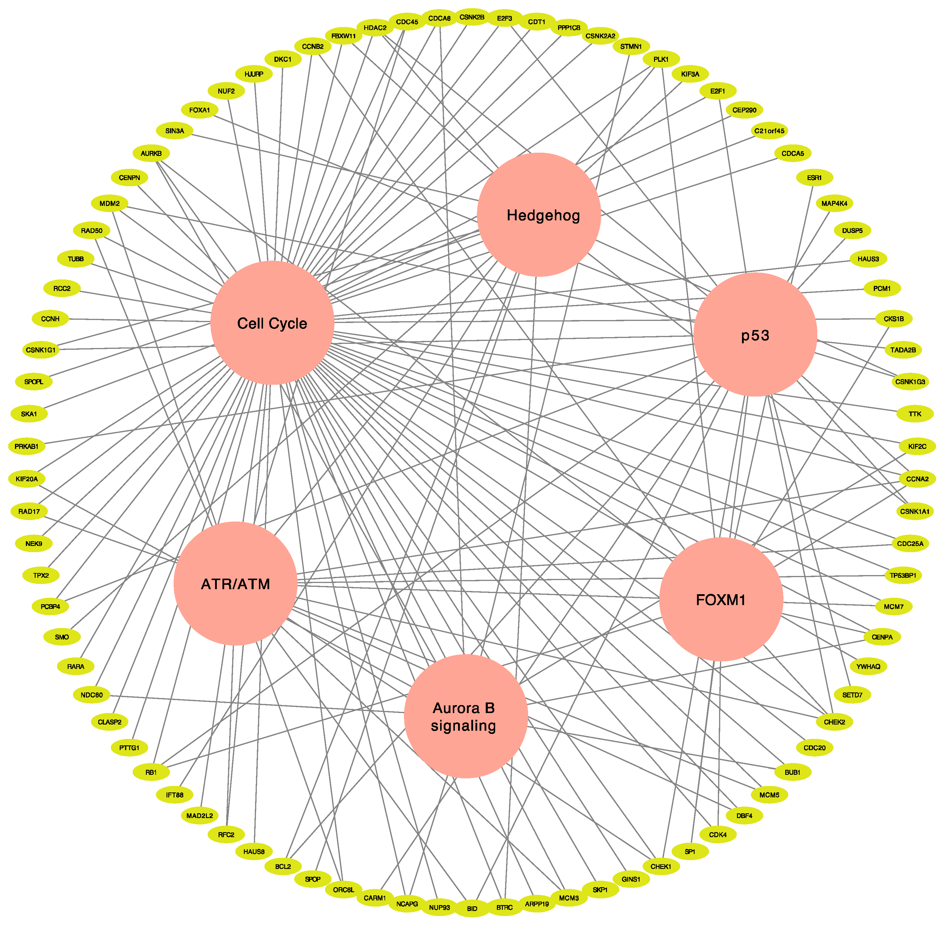 Jcm 10 00582 g004 Jcm 10 00582 g004