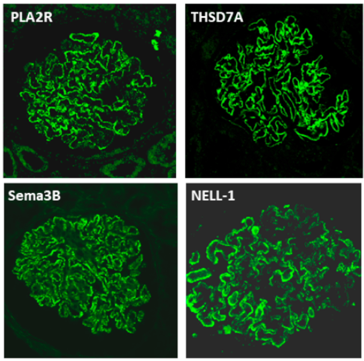 Jcm 10 00607 g005 Jcm 10 00607 g005