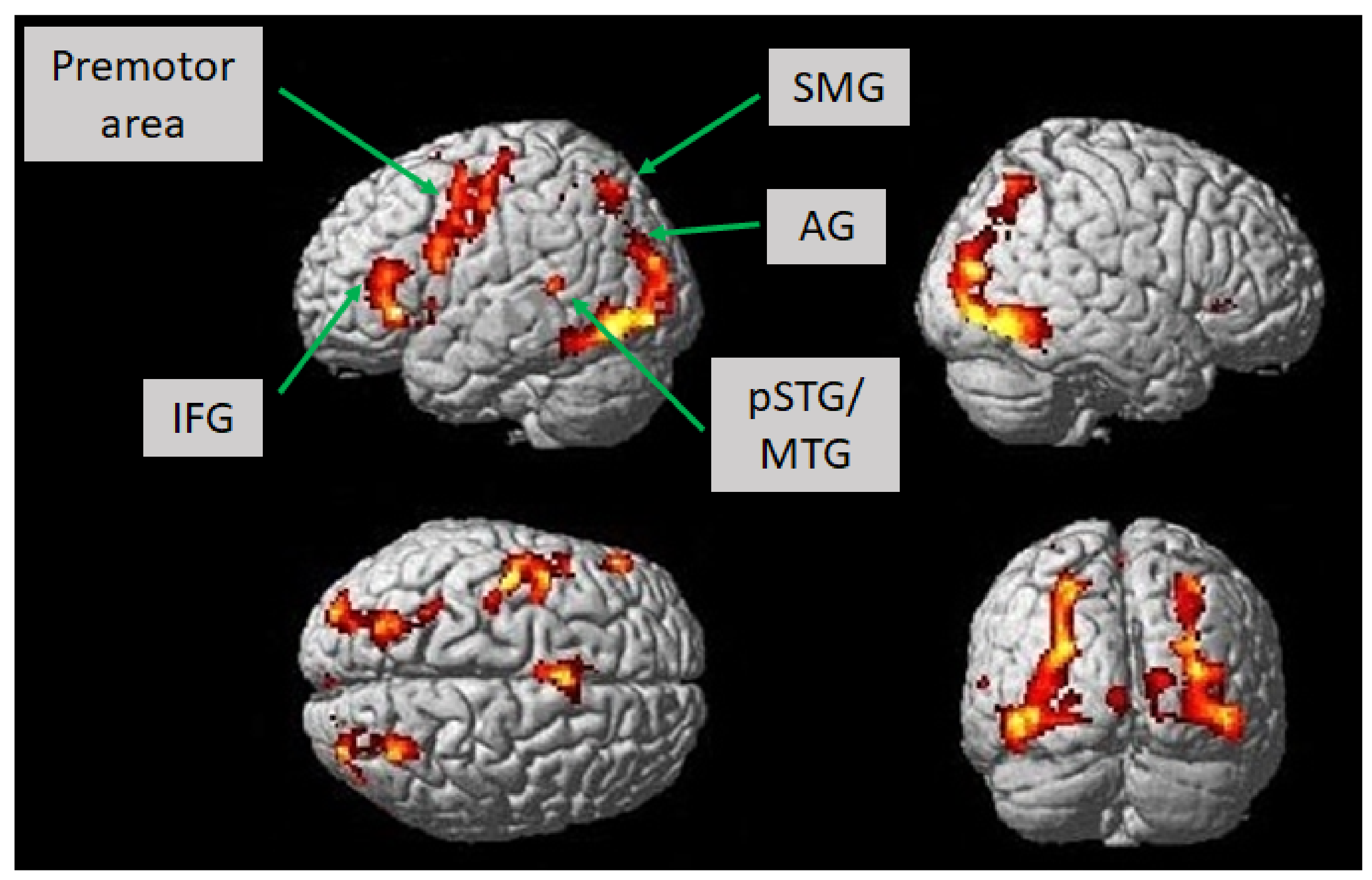 Jcm 10 00655 g002 Jcm 10 00655 g002