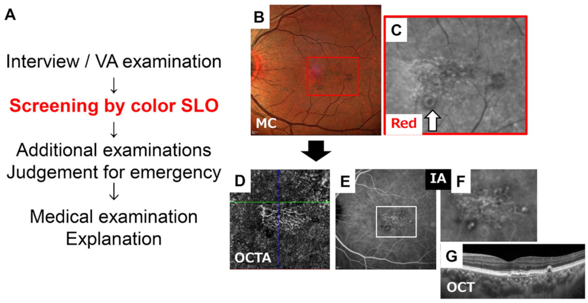 Jcm 10 00718 g011 Jcm 10 00718 g011