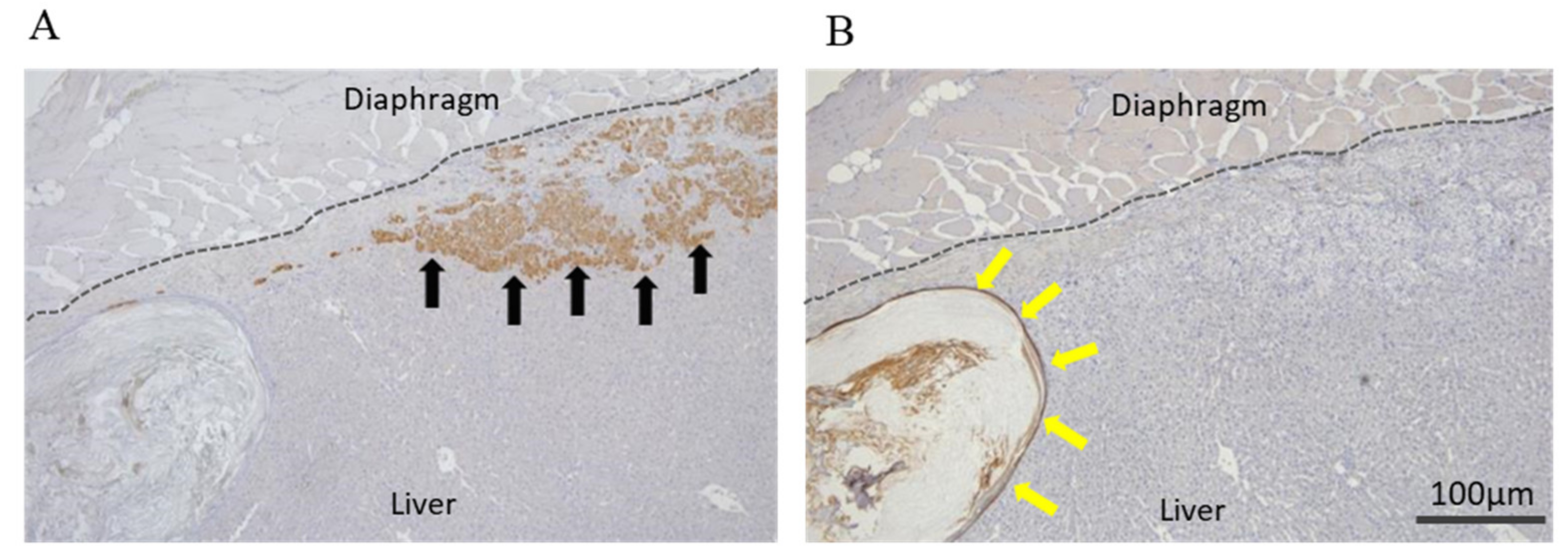 Jcm 10 00724 g005 Jcm 10 00724 g005