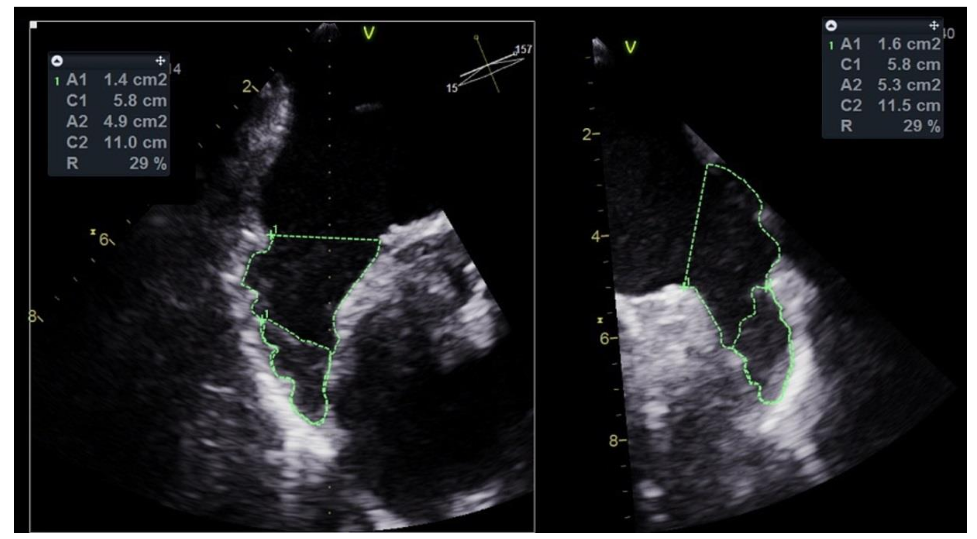 Jcm 10 00726 g001 Jcm 10 00726 g001