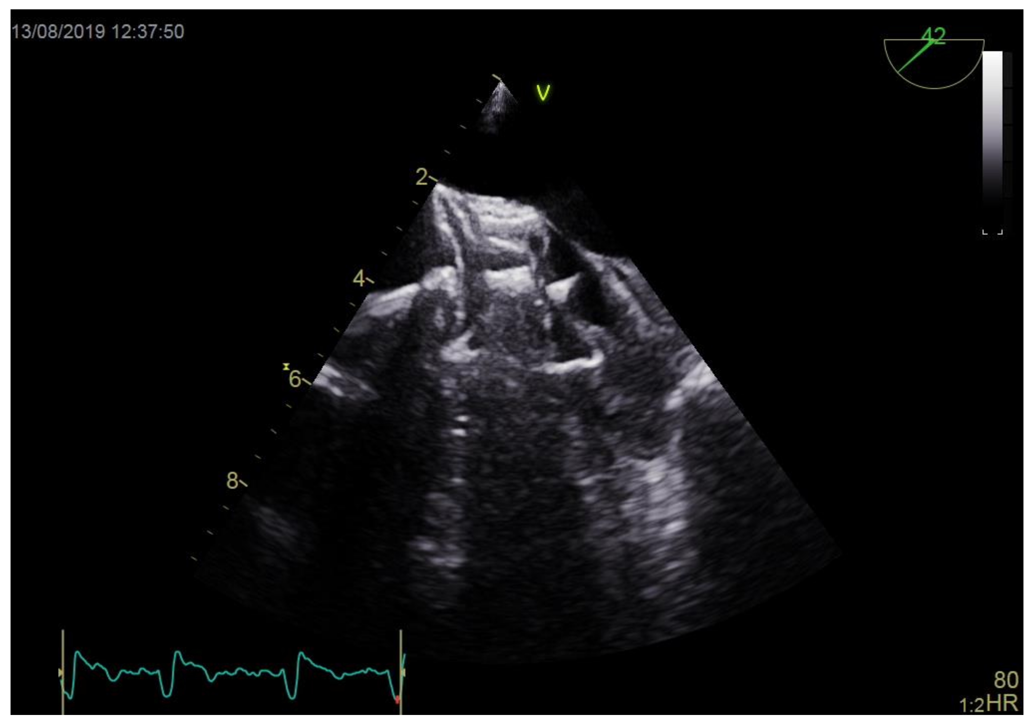 Jcm 10 00726 g002 Jcm 10 00726 g002
