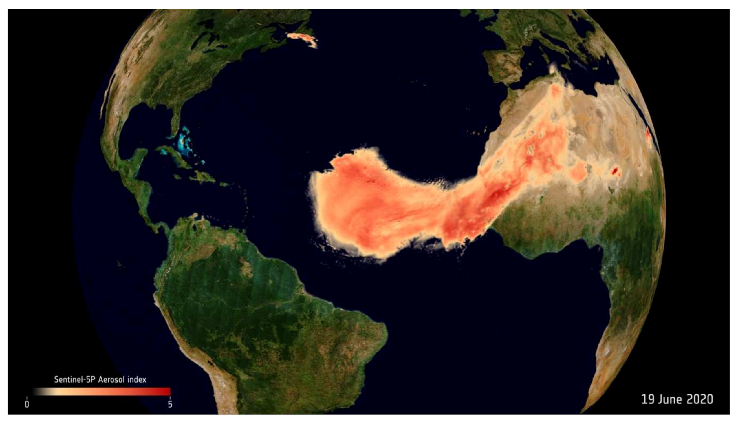 Jcm 10 00727 g005 Jcm 10 00727 g005