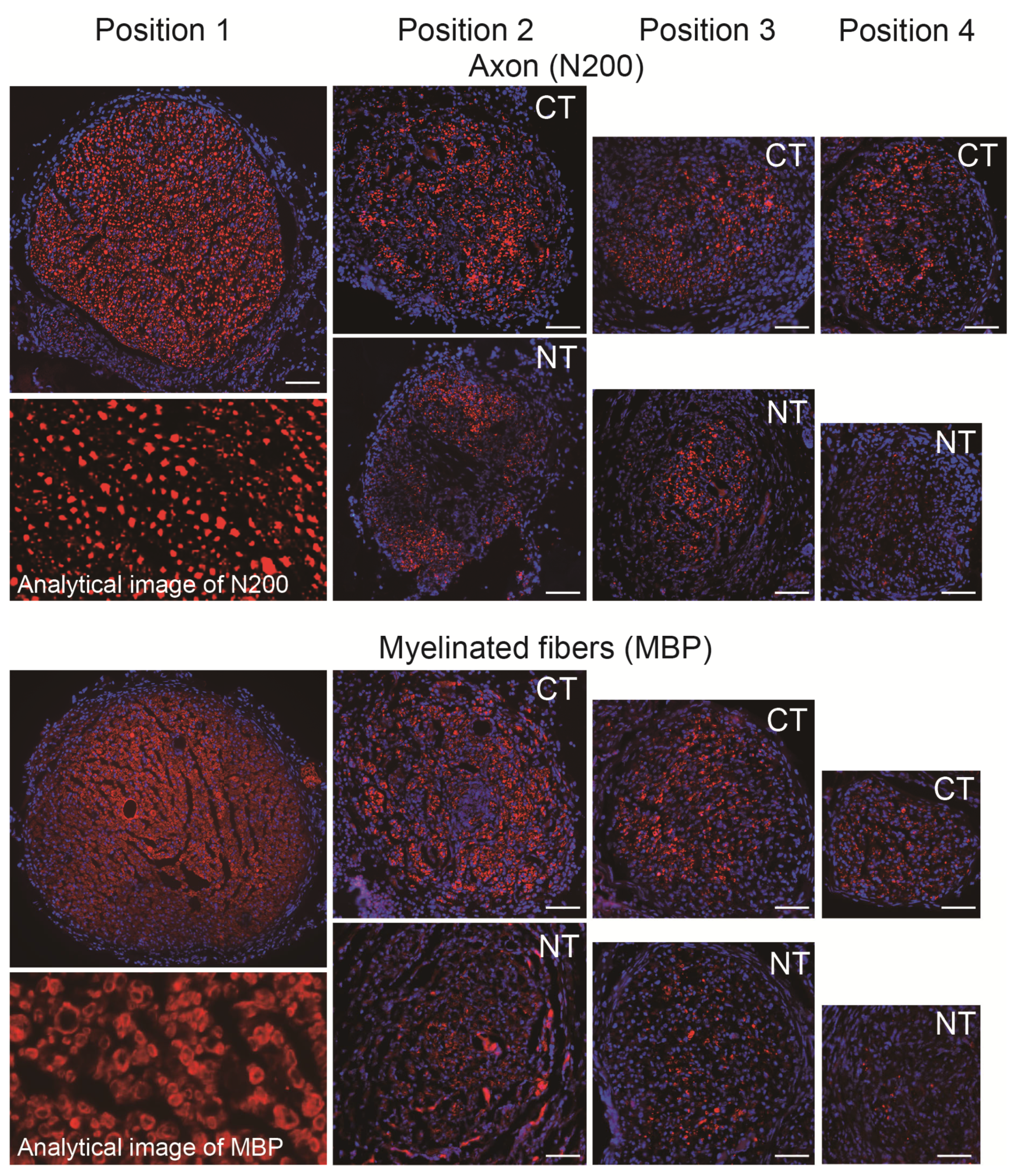 Jcm 10 00824 g003 Jcm 10 00824 g003