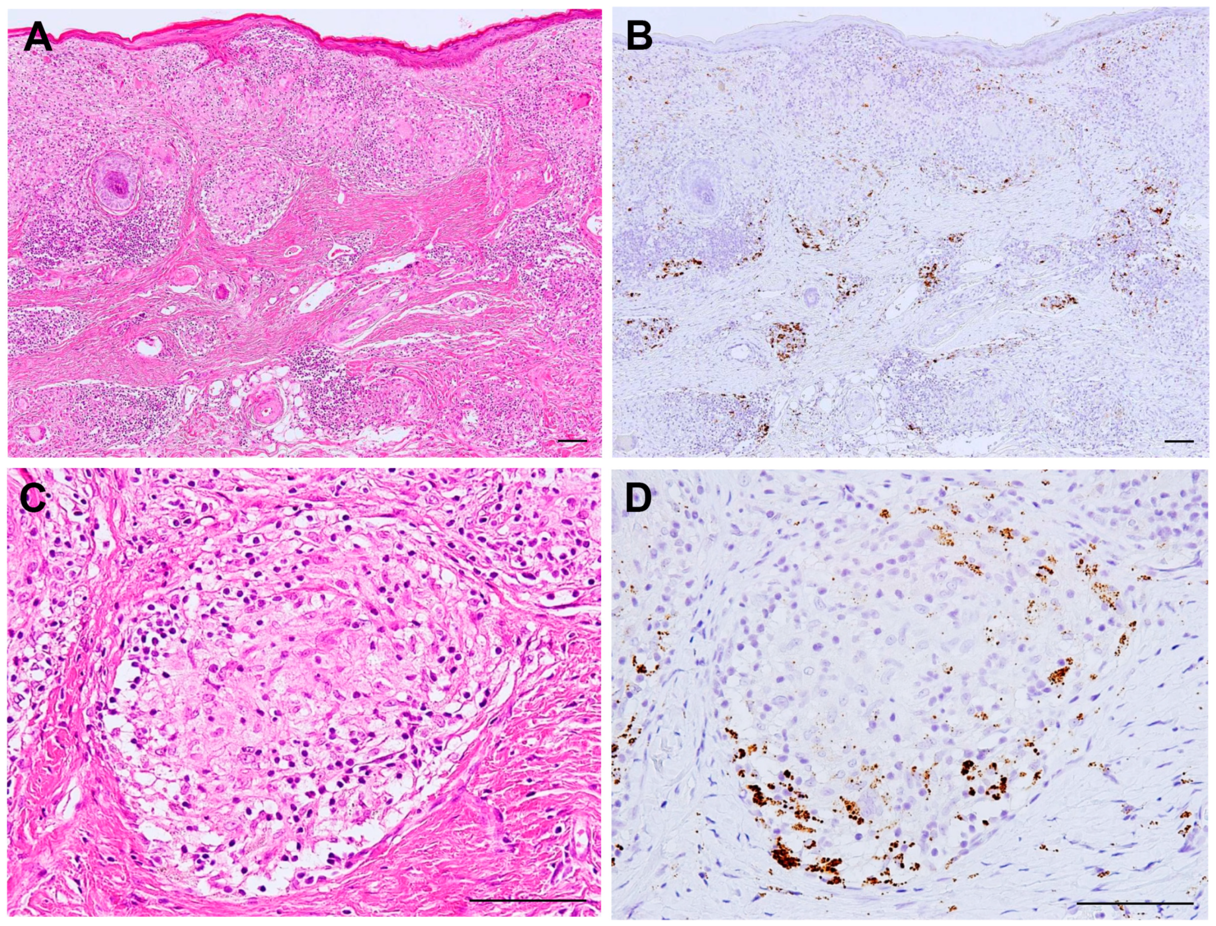 Jcm 10 00983 g004 Jcm 10 00983 g004