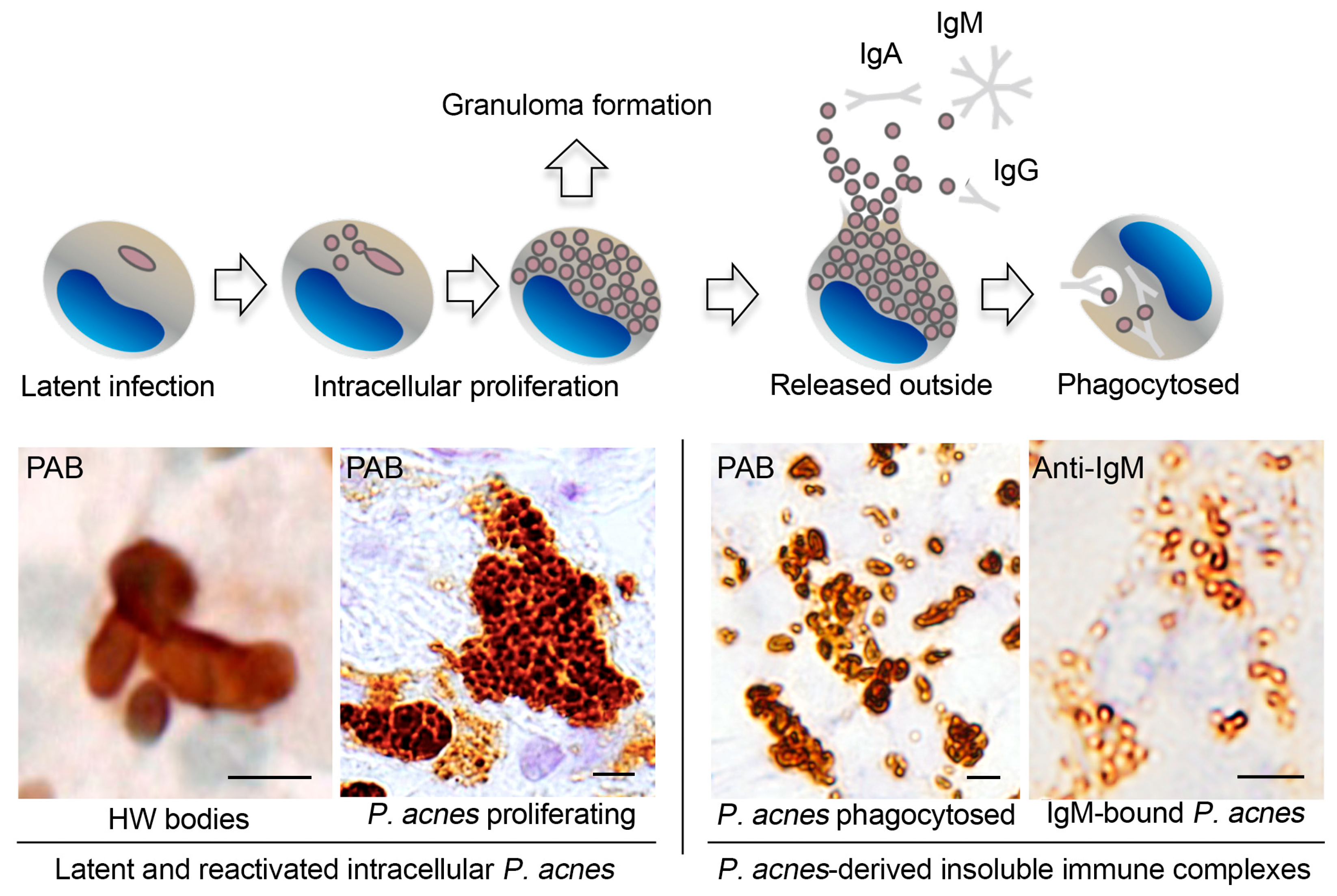 Jcm 10 00983 g005 Jcm 10 00983 g005