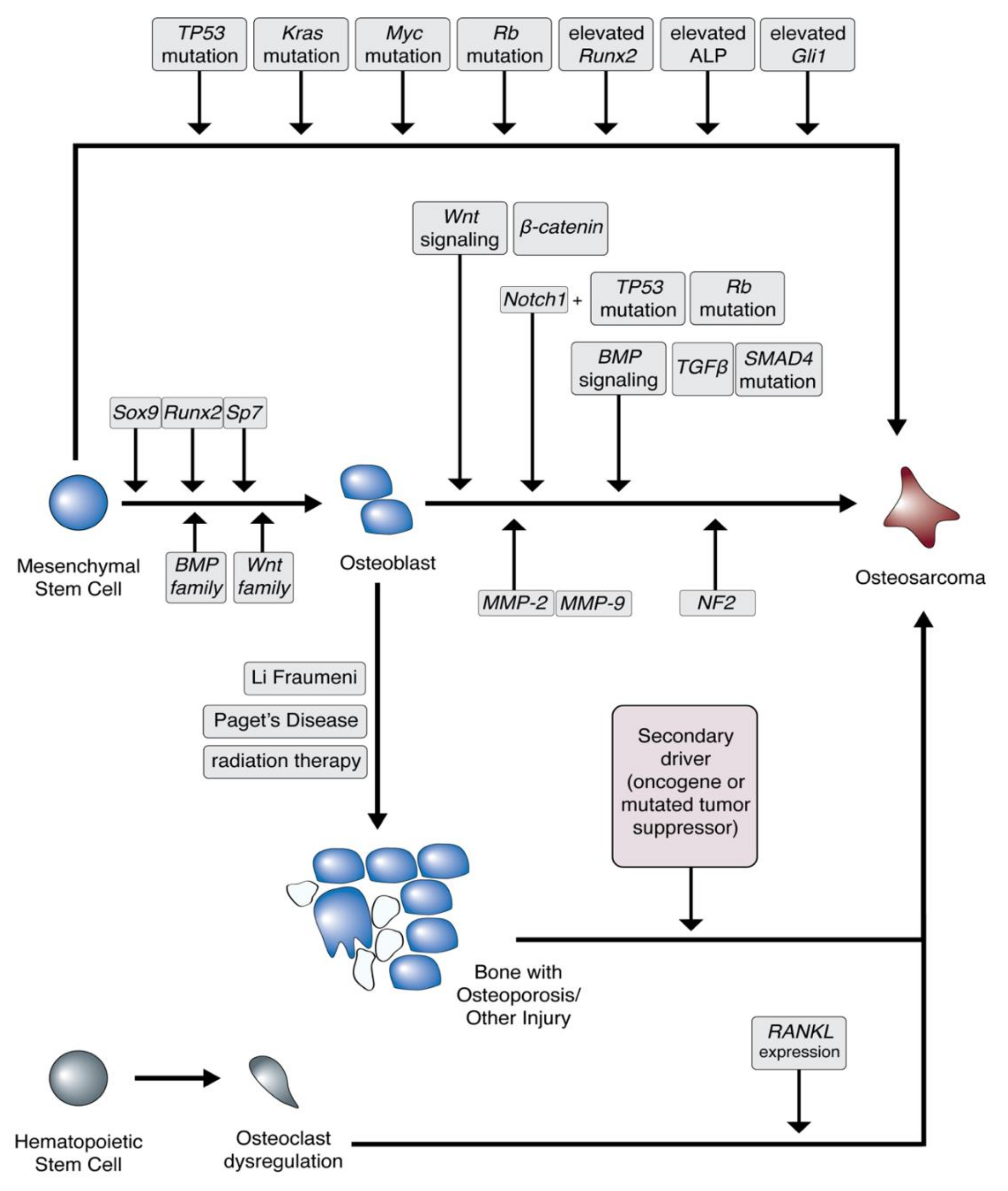 Jcm 10 01182 g002 Jcm 10 01182 g002