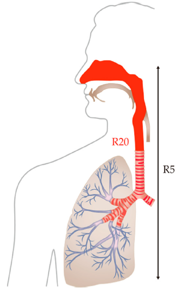 Jcm 10 01255 g002 Jcm 10 01255 g002