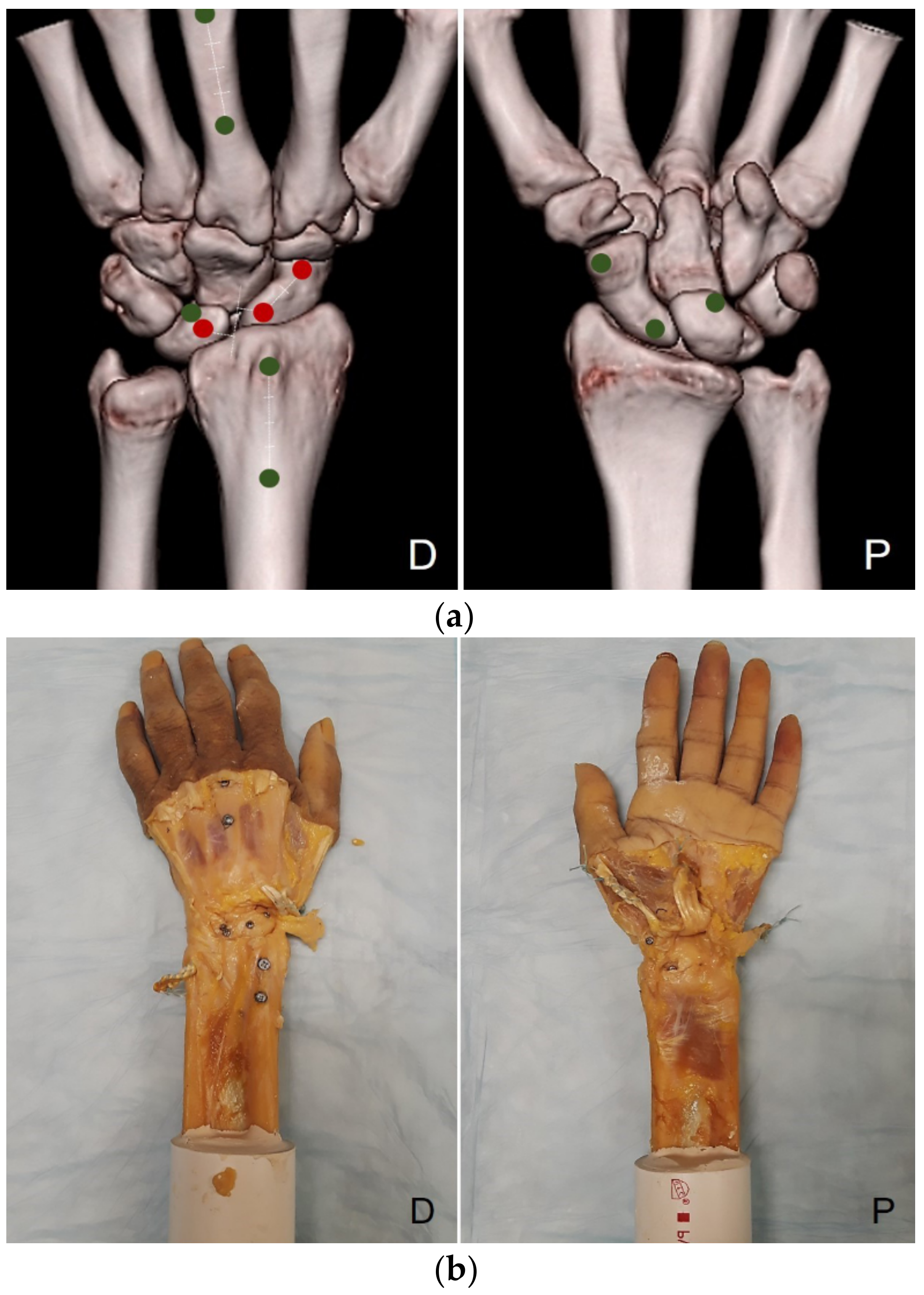 Jcm 10 01482 g001 Jcm 10 01482 g001