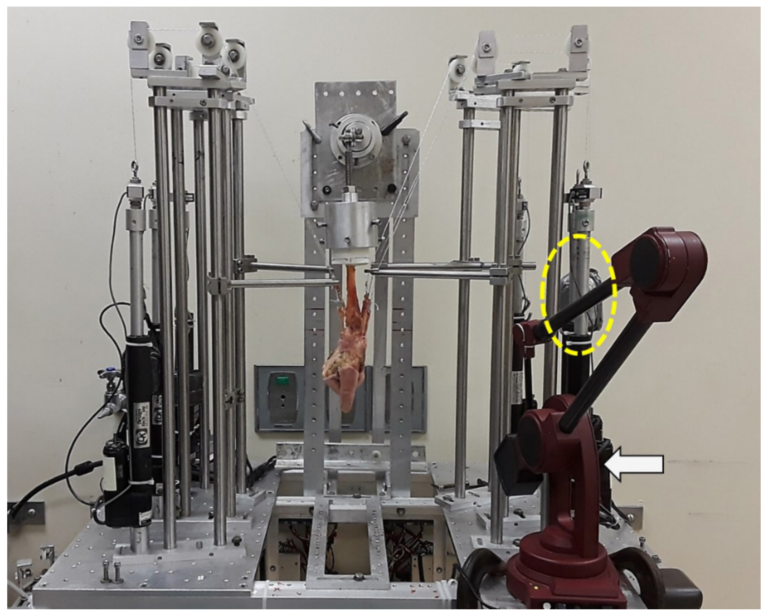 Jcm 10 01482 g002 Jcm 10 01482 g002