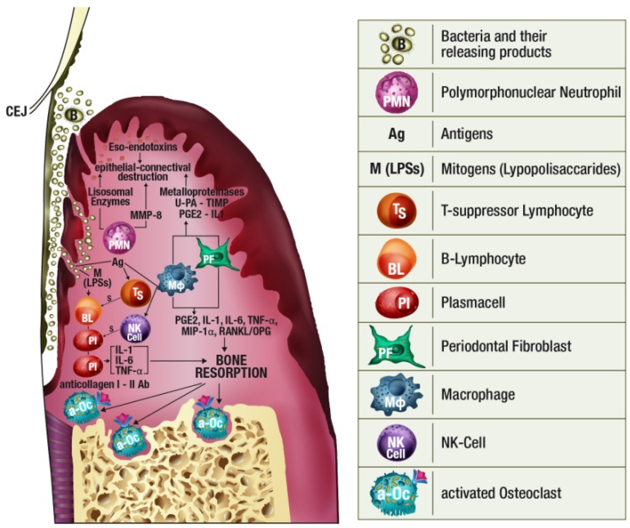 Jcm 10 01488 g002 Jcm 10 01488 g002